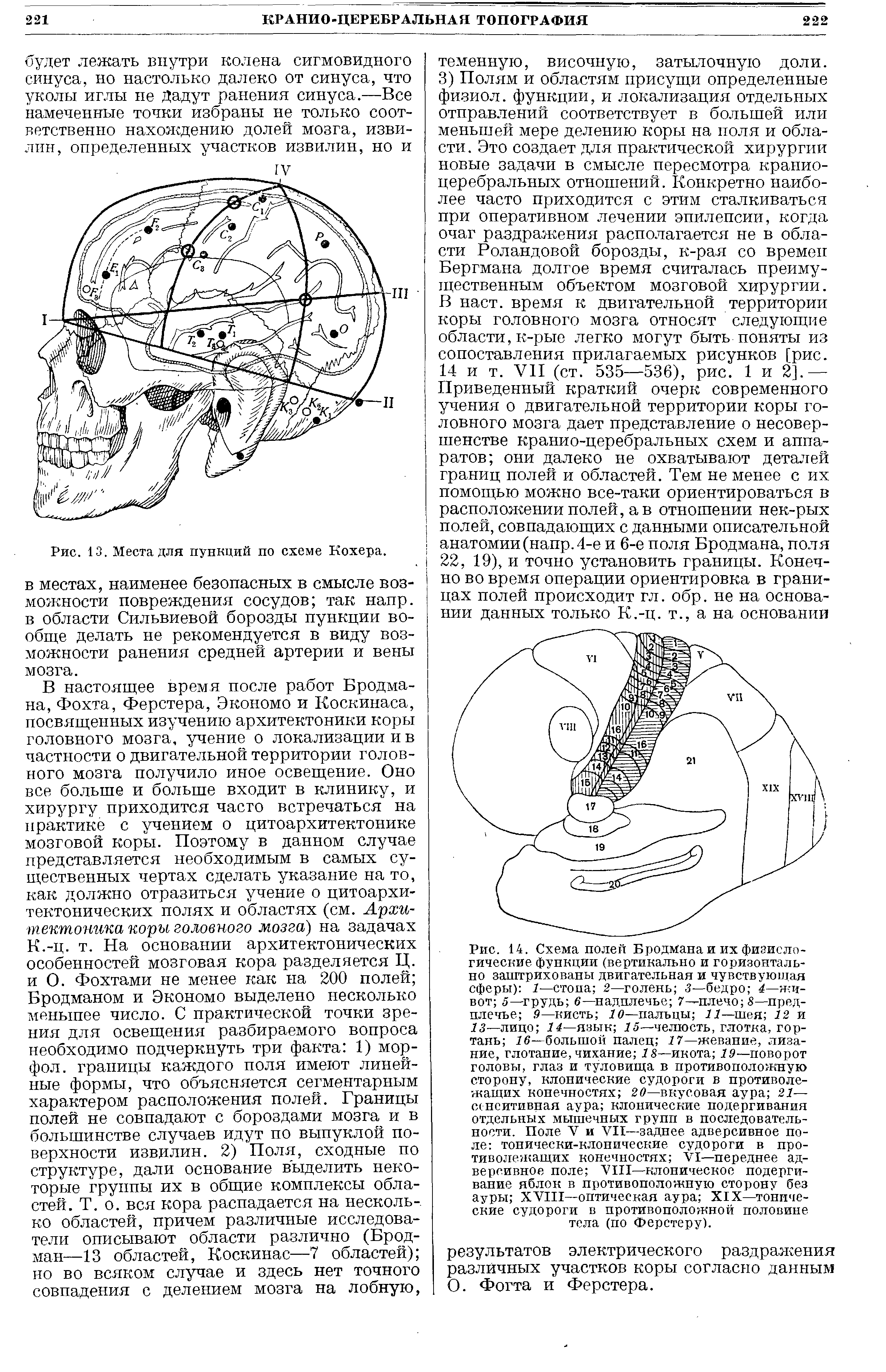 Рис. 13. Места для пункций по схеме Кохера, в местах, наименее безопасных в смысле возможности повреждения сосудов так напр. в области Сильвиевой борозды пункции вообще делать не рекомендуется в виду возможности ранения средней артерии и вены мозга.