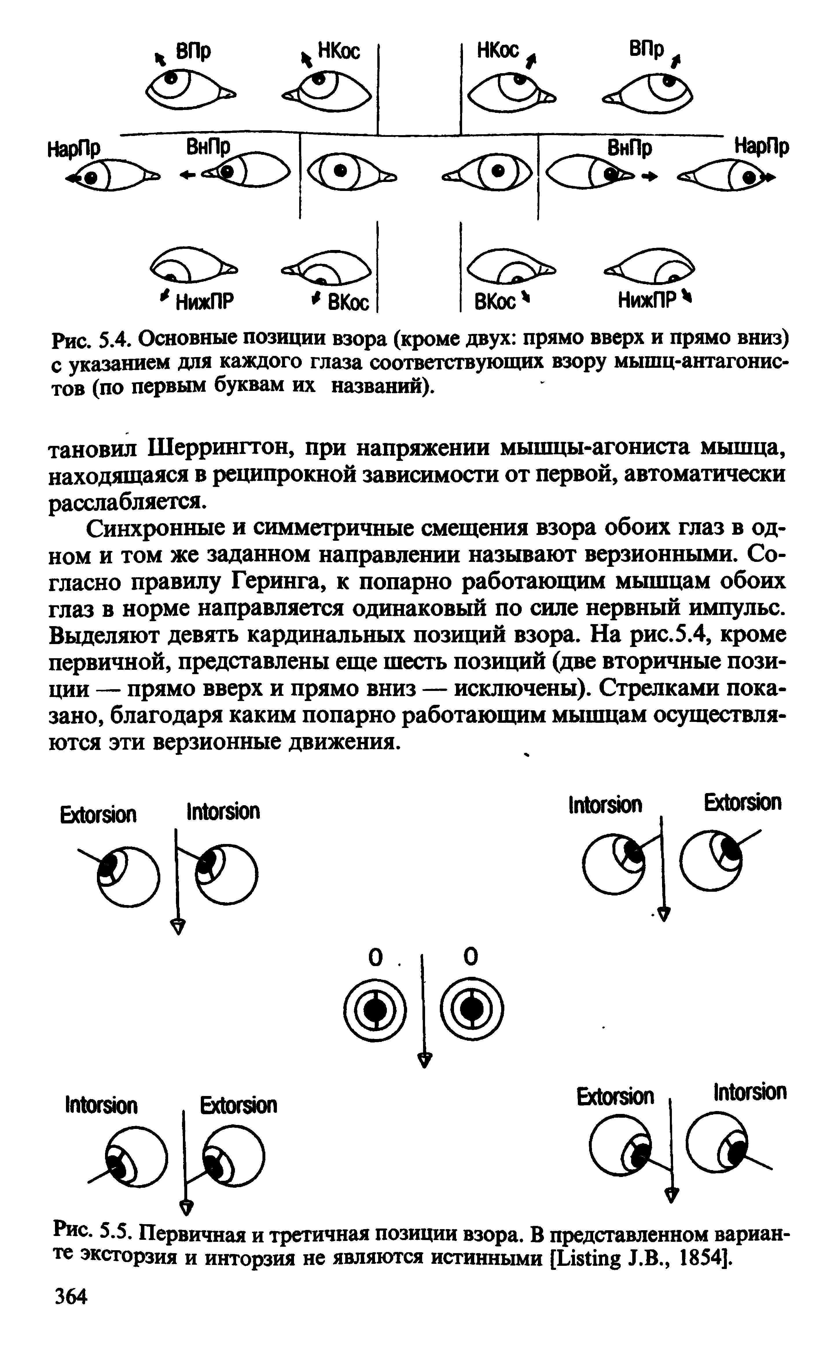 Рис. 5.4. Основные позиции взора (кроме двух прямо вверх и прямо вниз) с указанием для каждого глаза соответствующих взору мышц-антагонис-тов (по первым буквам их названий).