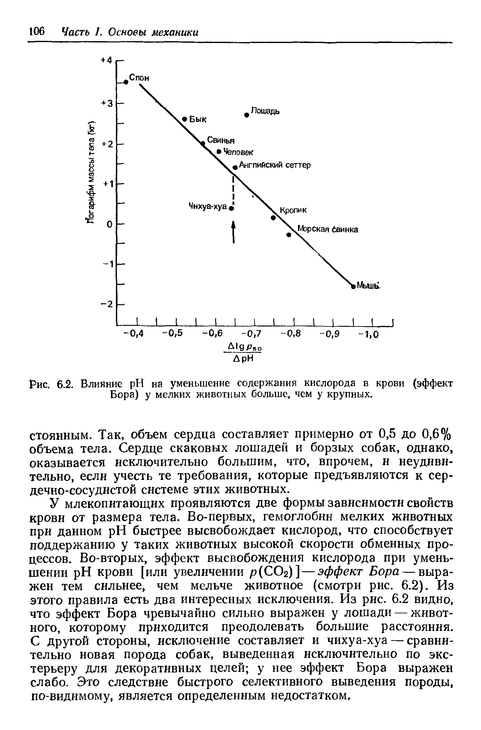 Рис. 6.2. Влияние H на уменьшение содержания кислорода в крови (эффект Бора) у мелких животных больше, чем у крупных.