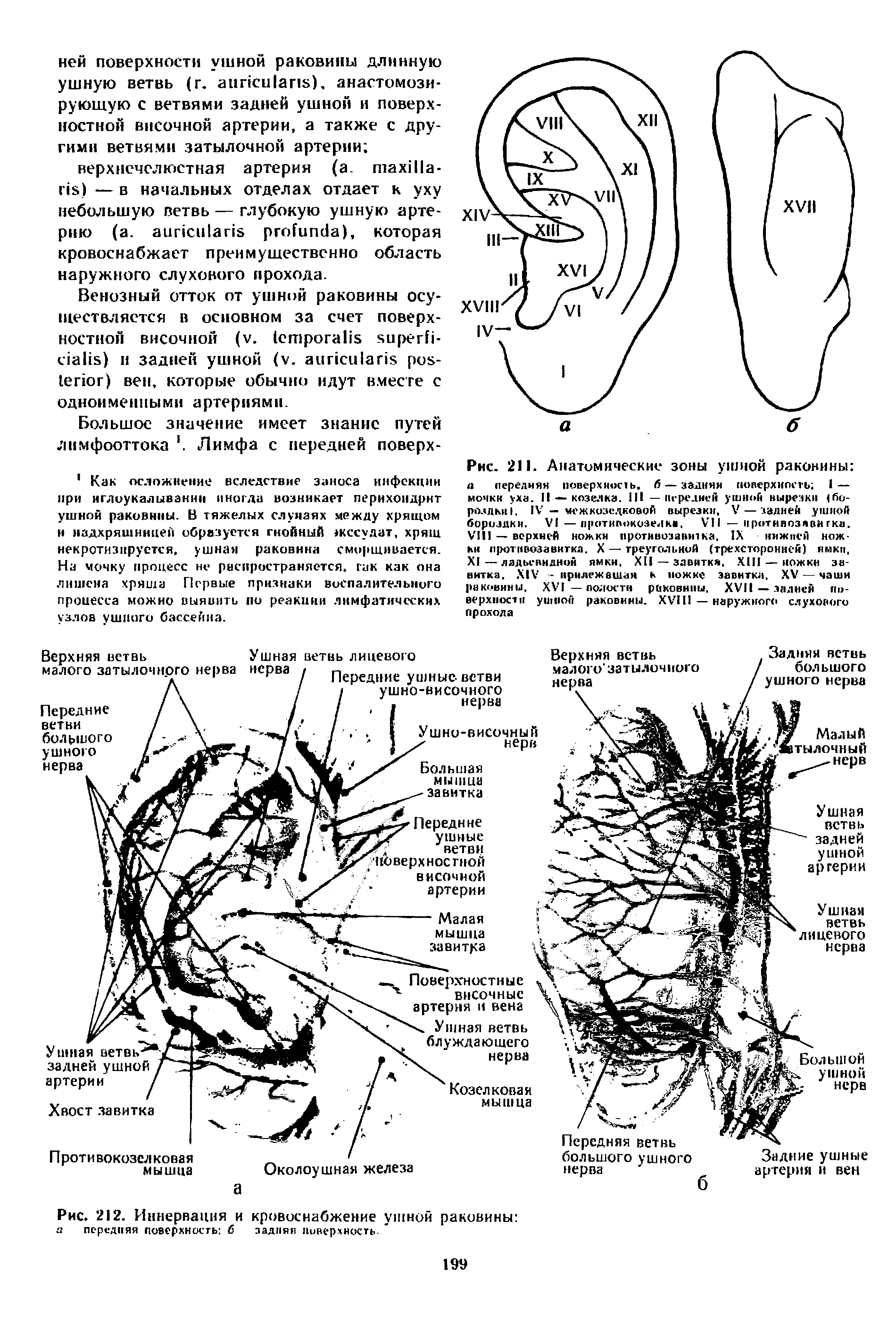 Рис. 212. Иннервация и кровоснабжение ушной я передняя поверхность б задняя поверхность. "...