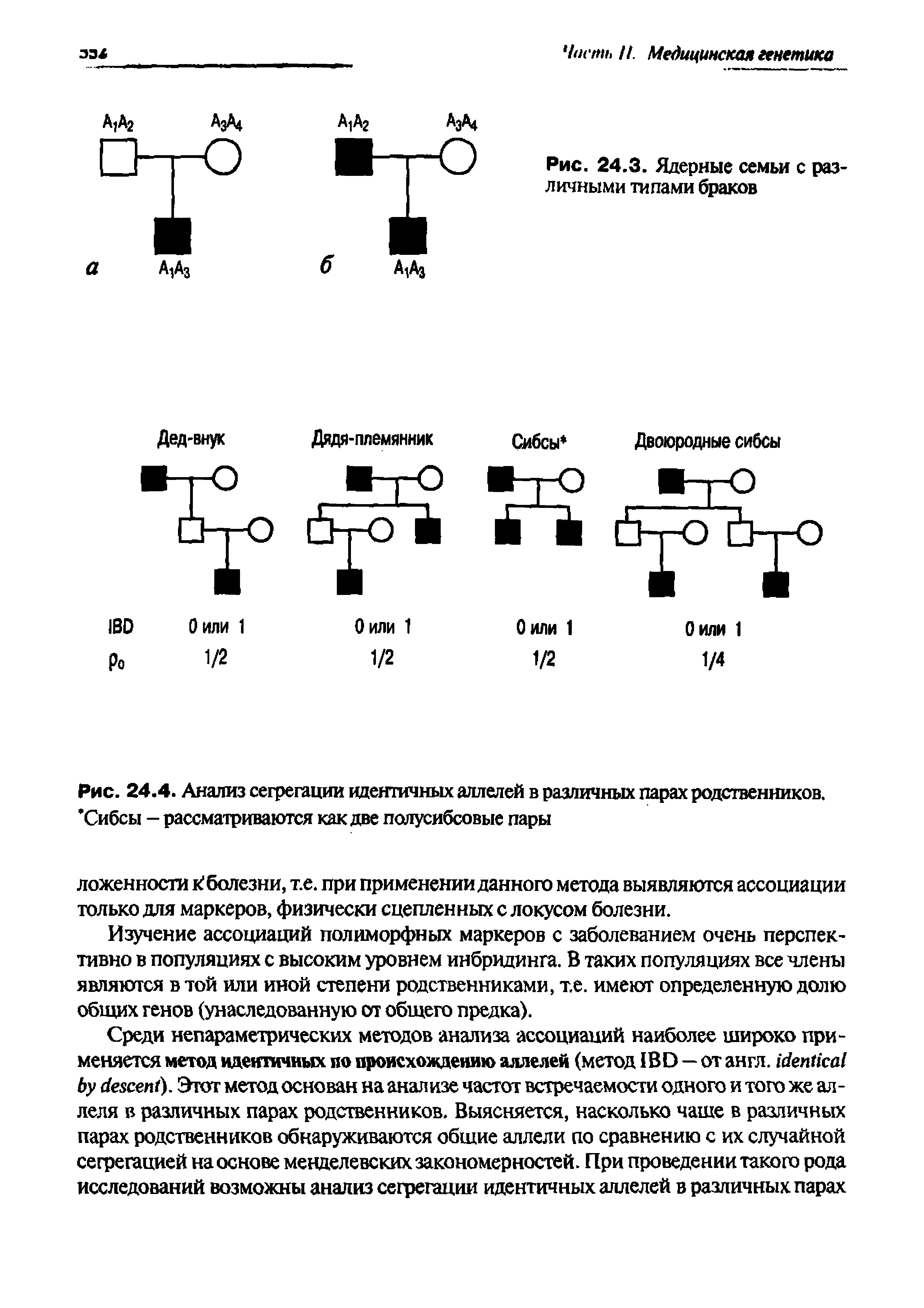 Рис. 24.4. Анализ сегрегации идентичных аллелей в различных парах родственников. Сибсы - рассматриваются как две полусибсовые пары...