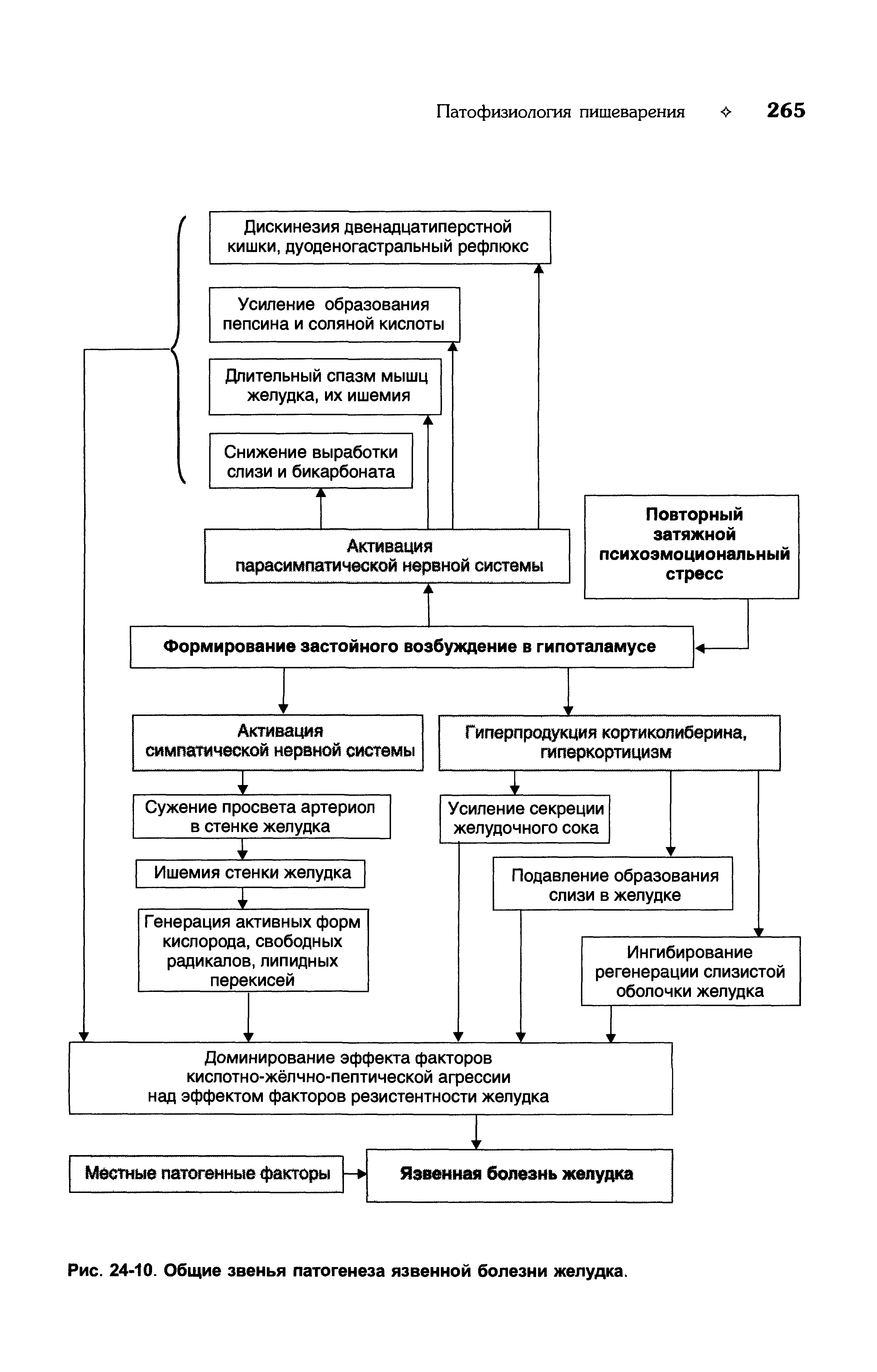 Рис. 24-10. Общие звенья патогенеза язвенной болезни желудка.