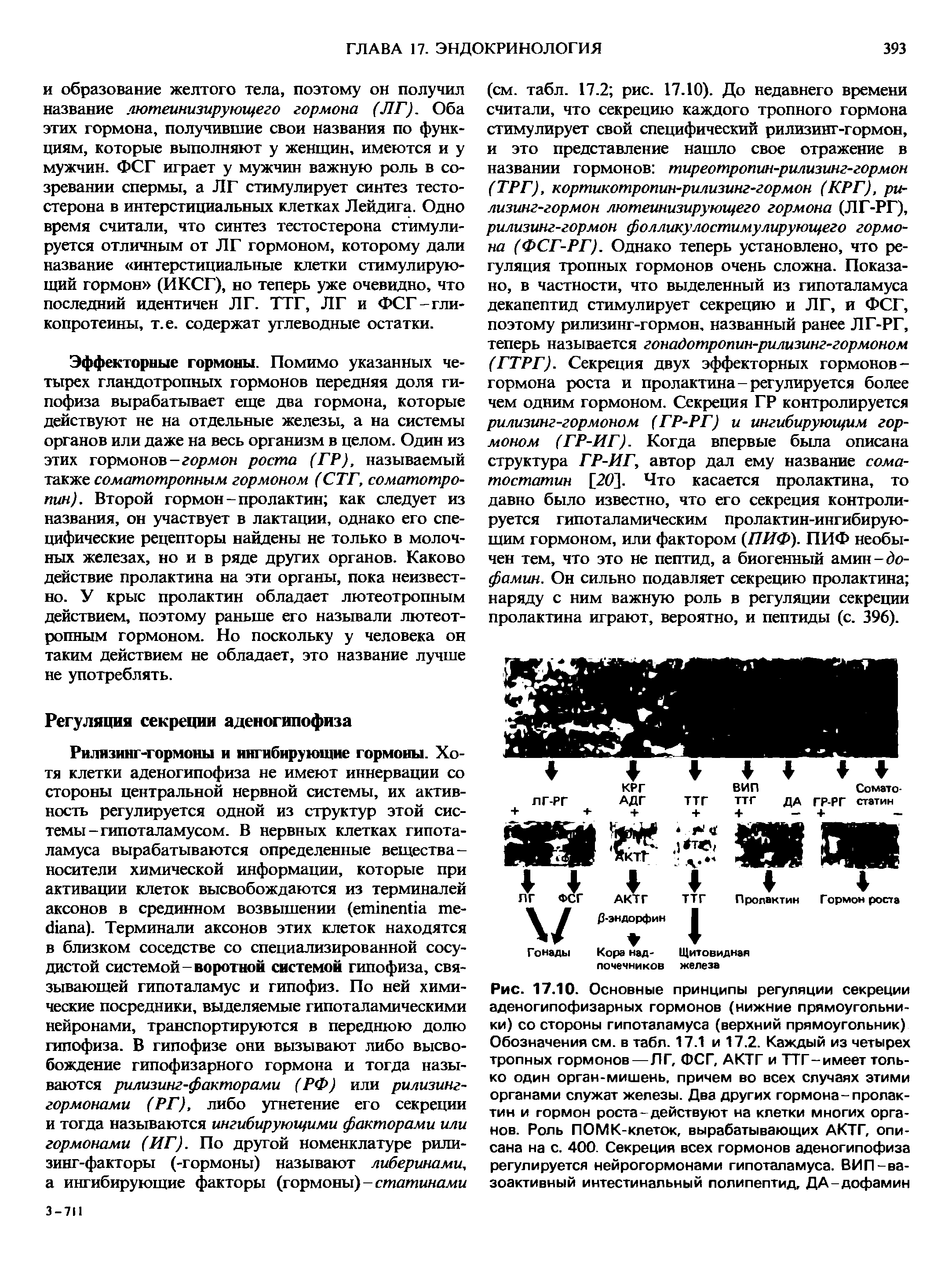 Рис. 17.10. Основные принципы регуляции секреции аденогипофизарных гормонов (нижние прямоугольники) со стороны гипоталамуса (верхний прямоугольник) Обозначения см. в табл. 17.1 и 17.2. Каждый из четырех тропных гормонов—Л Г, ФСГ, АКТГ и ТТГ -имеет толь...