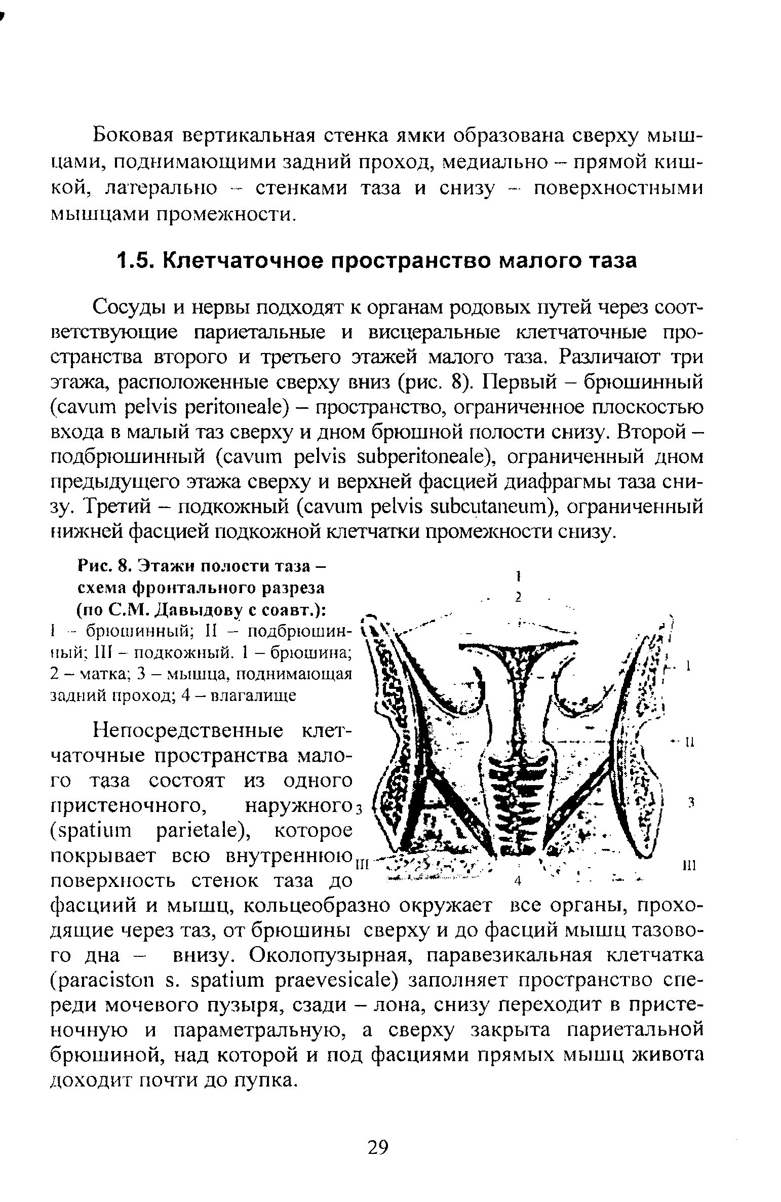 Рис. 8. Этажи полости таза -схема фронтального разреза (по С.М. Давыдову с соавт.) ...