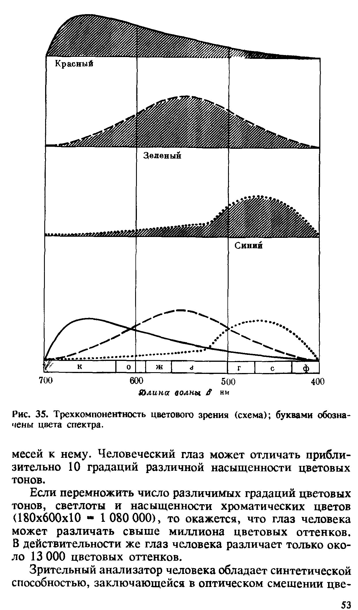 Рис. 35. Трехкомпонентность цветового зрения (схема) буквами обозначены цвета спектра.