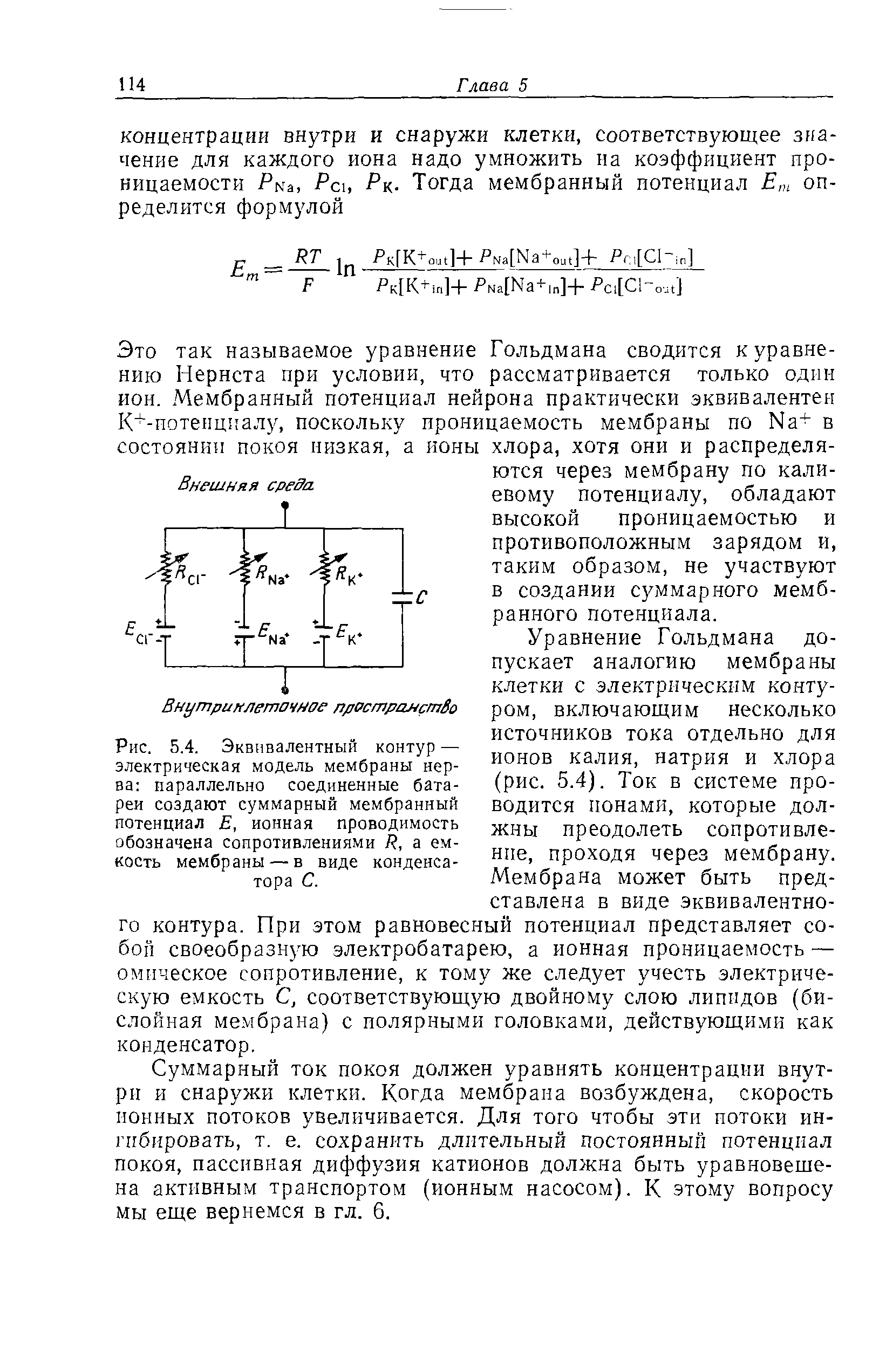 Рис. 5.4. Эквивалентный контур — электрическая модель мембраны нерва параллельно соединенные батареи создают суммарный мембранный потенциал Е, ионная проводимость обозначена сопротивлениями Р, а емкость мембраны — в виде конденсатора С.