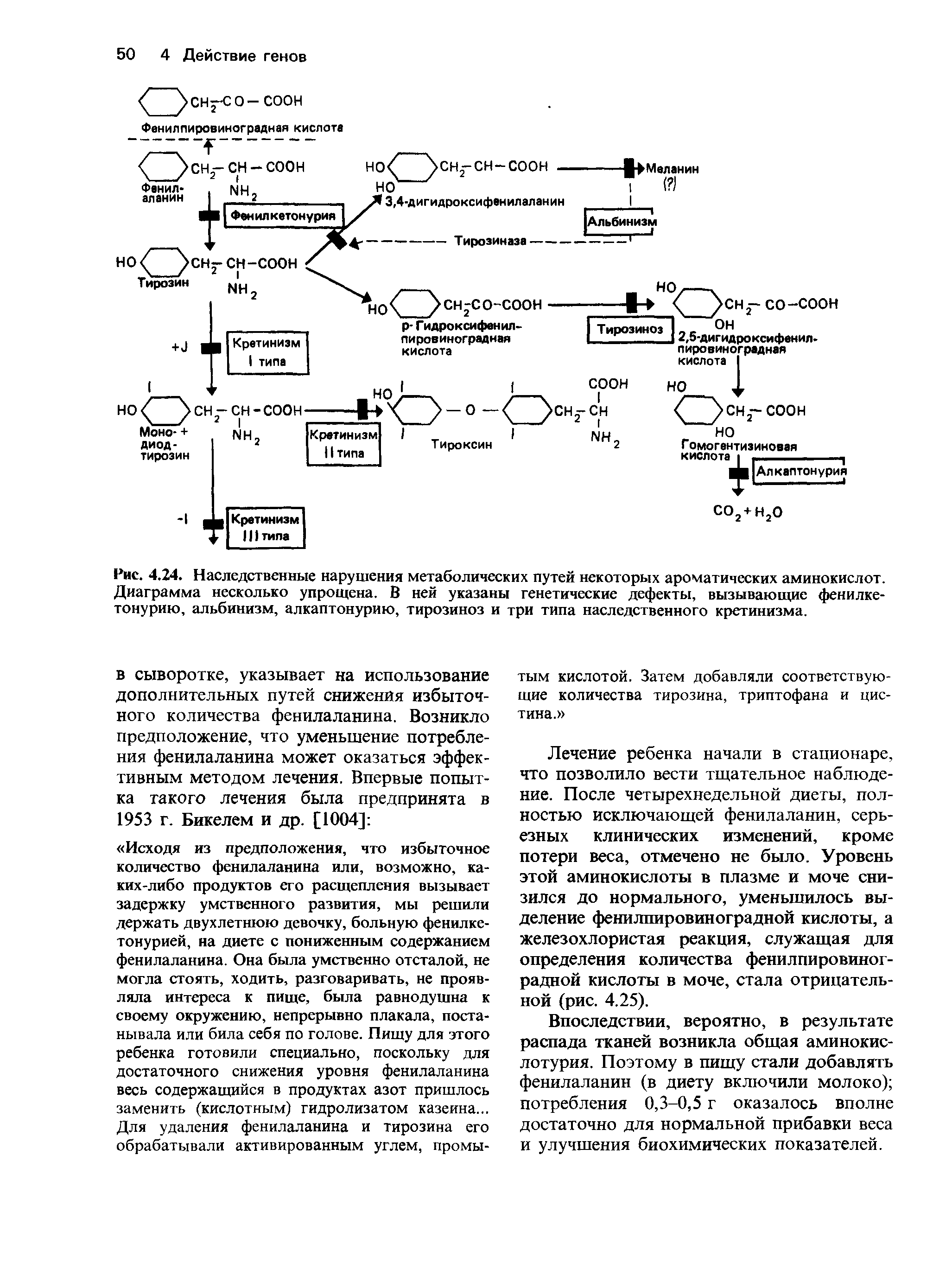 Рис. 4.24. Наследственные нарушения метаболических путей некоторых ароматических аминокислот. Диаграмма несколько упрощена. В ней указаны генетические дефекты, вызывающие фенилкетонурию, альбинизм, алкаптонурию, тирозиноз и три типа наследственного кретинизма.