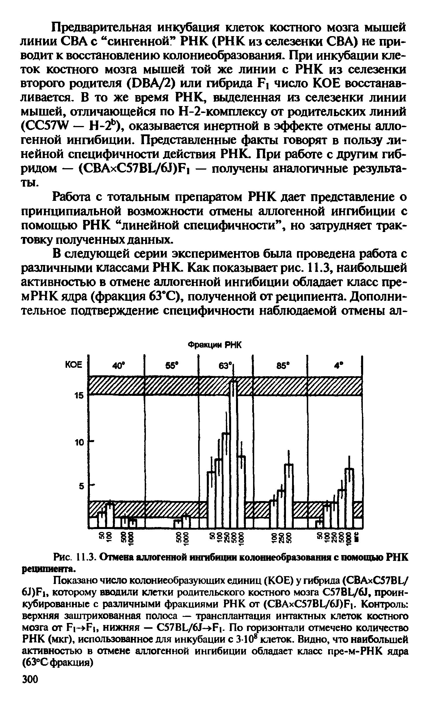 Рис. 11.3. Отмена аллогенной ингибиции колониеобразования с помощью РНК реципиента.