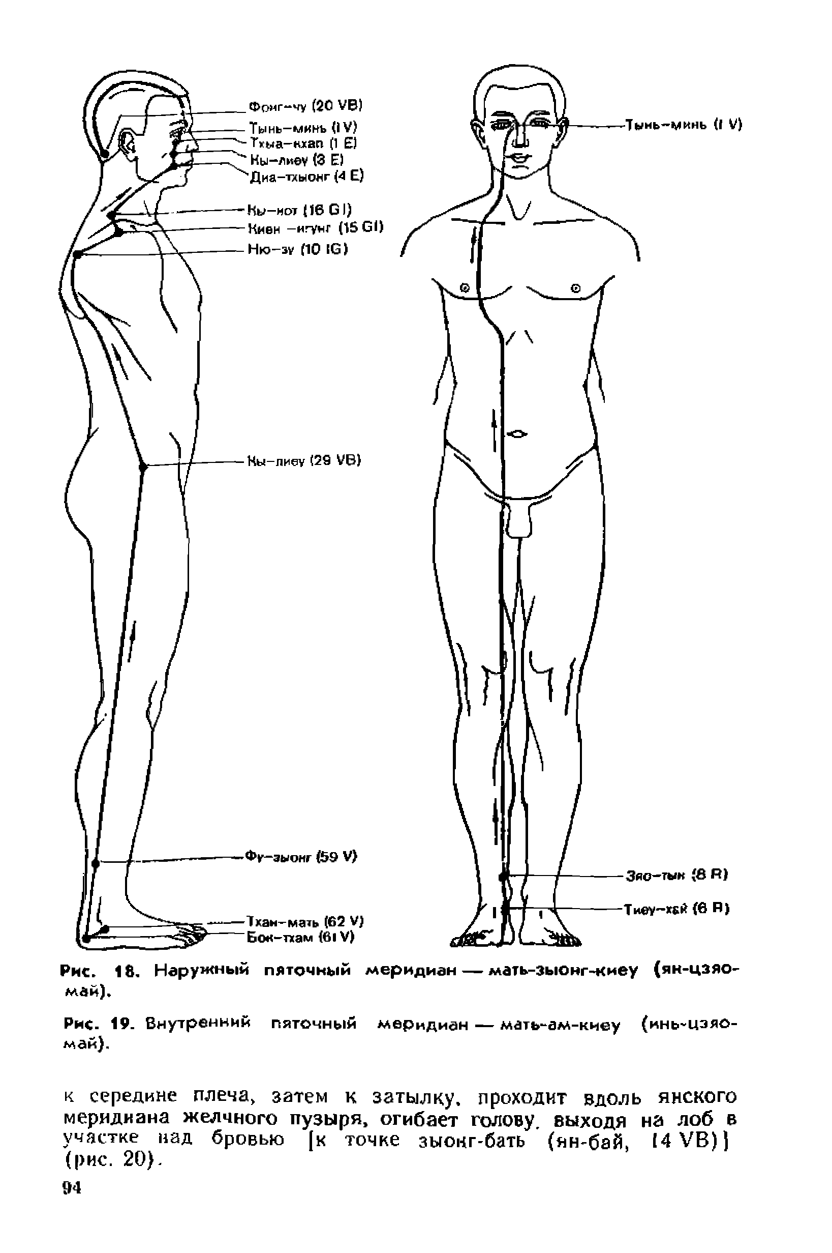 Рис. 19. Внутренний пяточный меридиан — мать-ам-киеу (инь-цзяо-май).