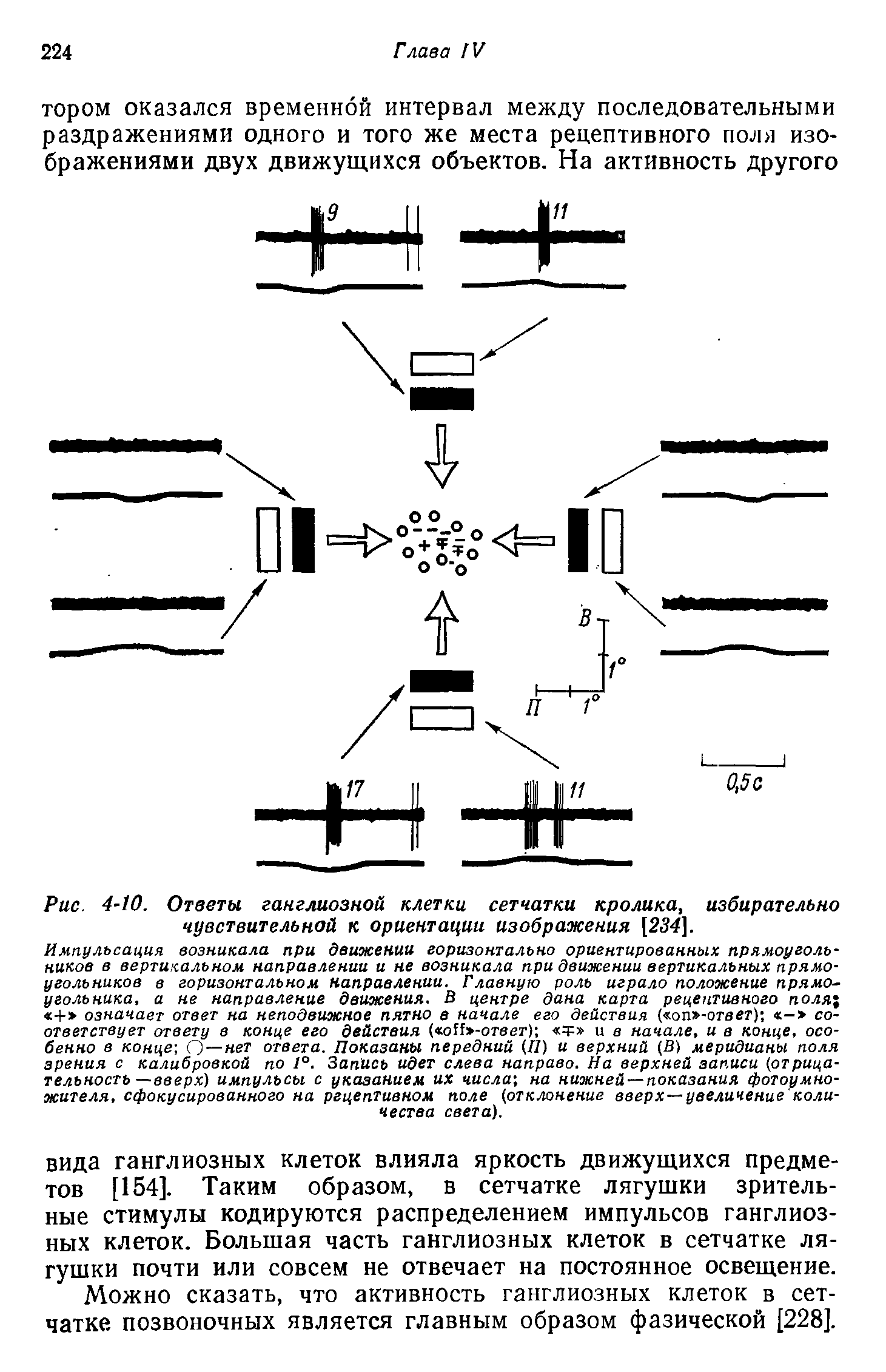 Рис. 4-10. Ответы ганглиозной клетки сетчатки кролика, избирательно чувствительной к ориентации изображения [234].
