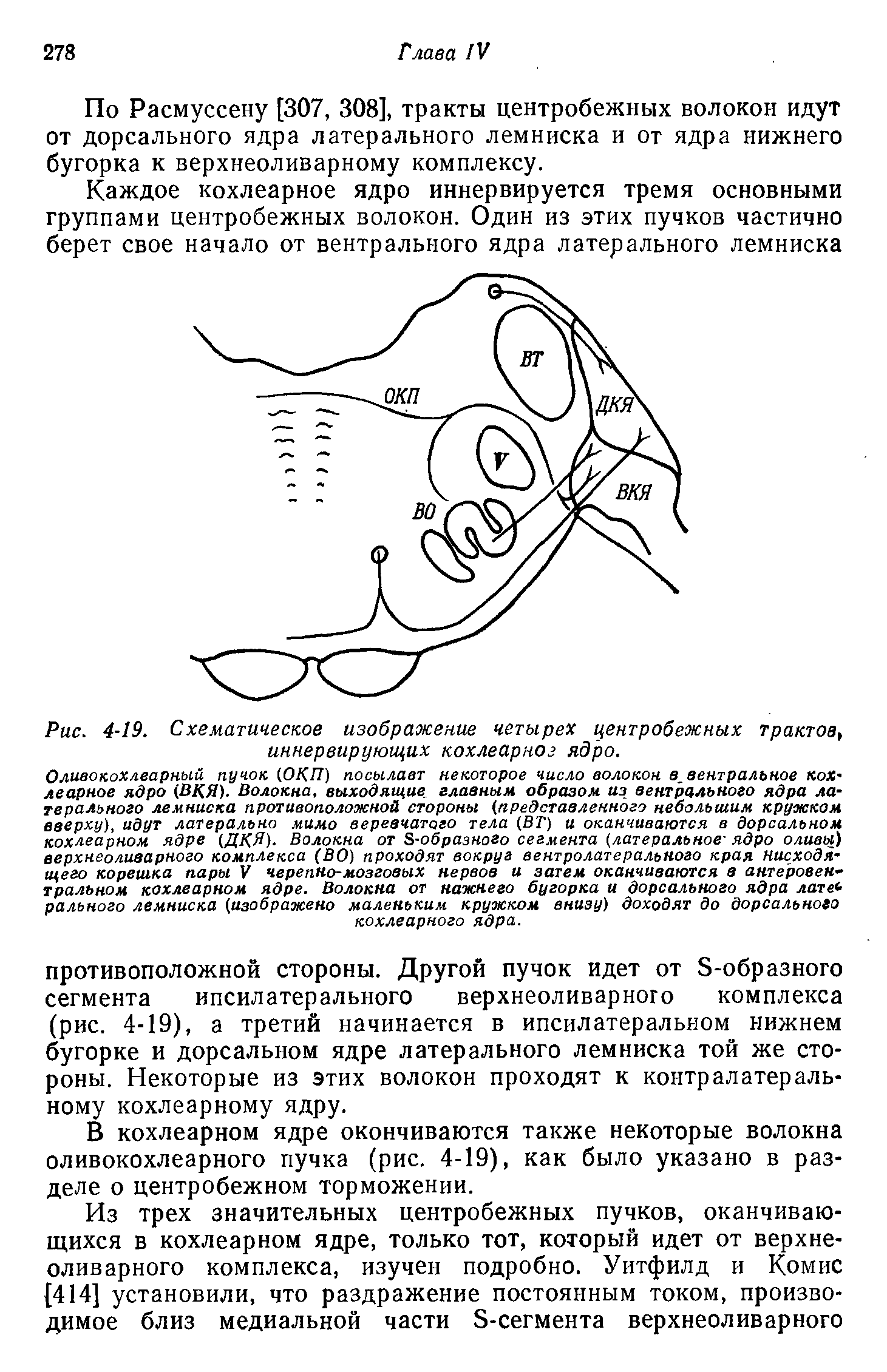 Рис. 4-19. Схематическое изображение четырех центробежных трактов, иннервирующих кохлеарное ядро.