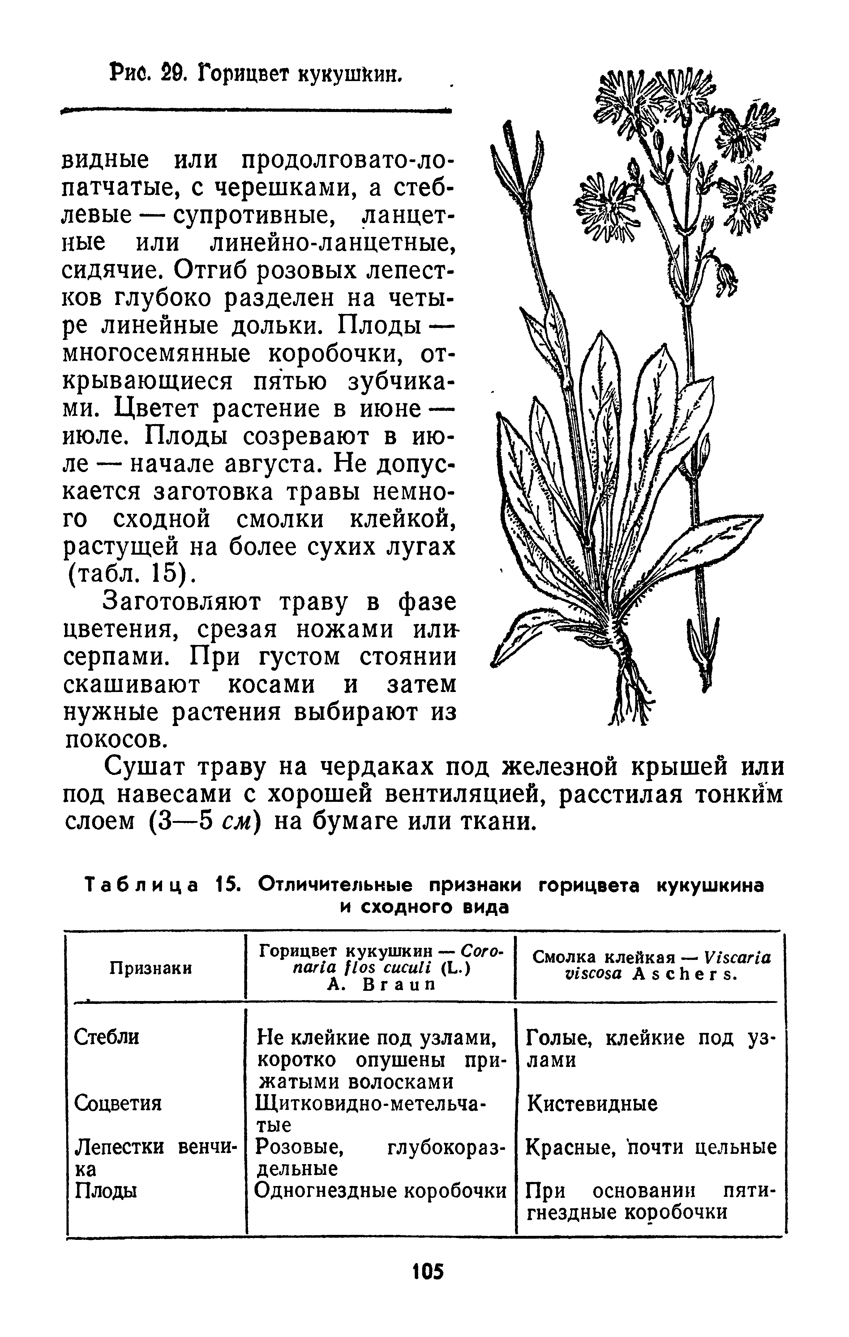 Таблица 15. Отличительные признаки горицвета кукушкина и сходного вида...