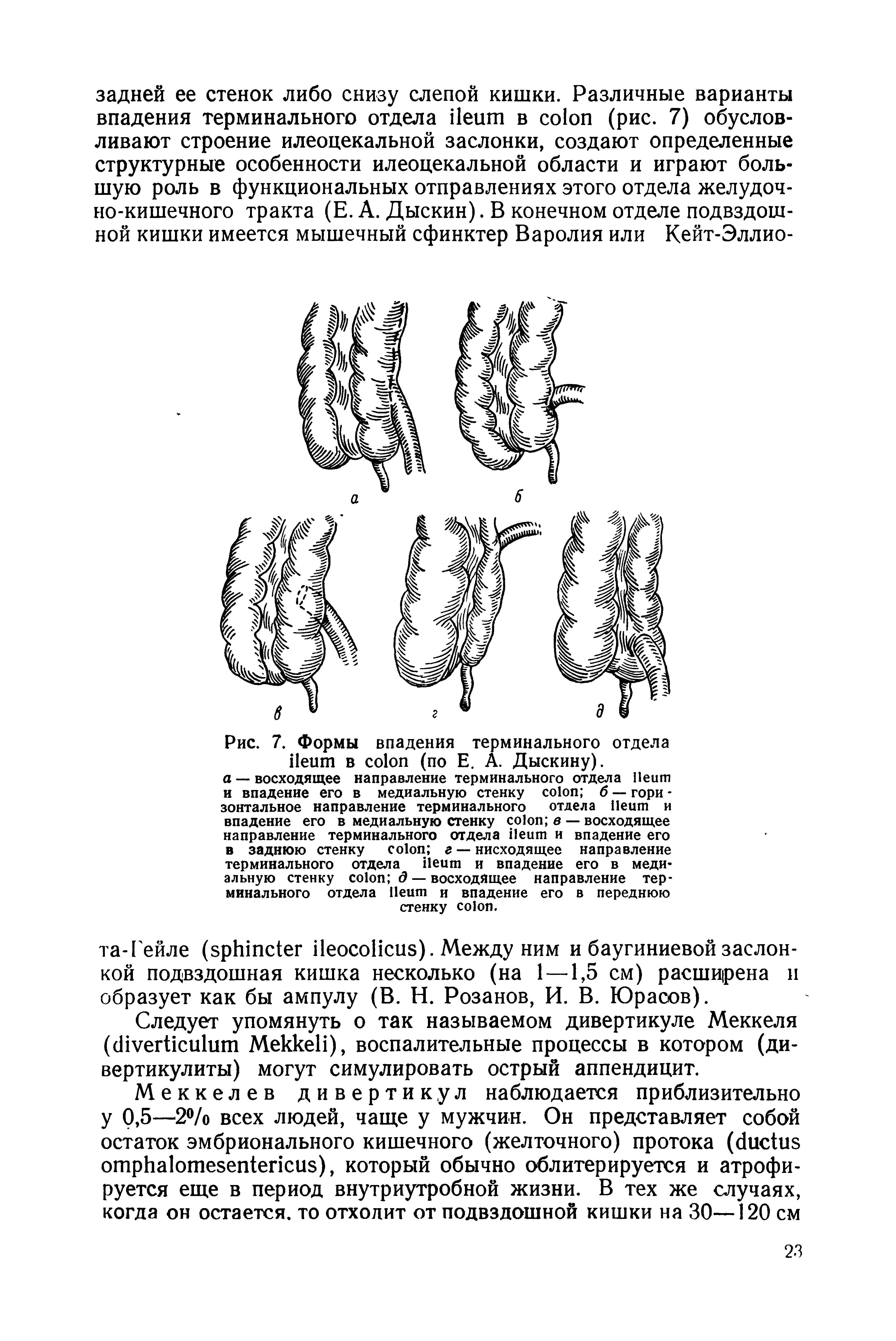 Рис. 7. Формы впадения терминального отдела в (по Е. А. Дыскину).