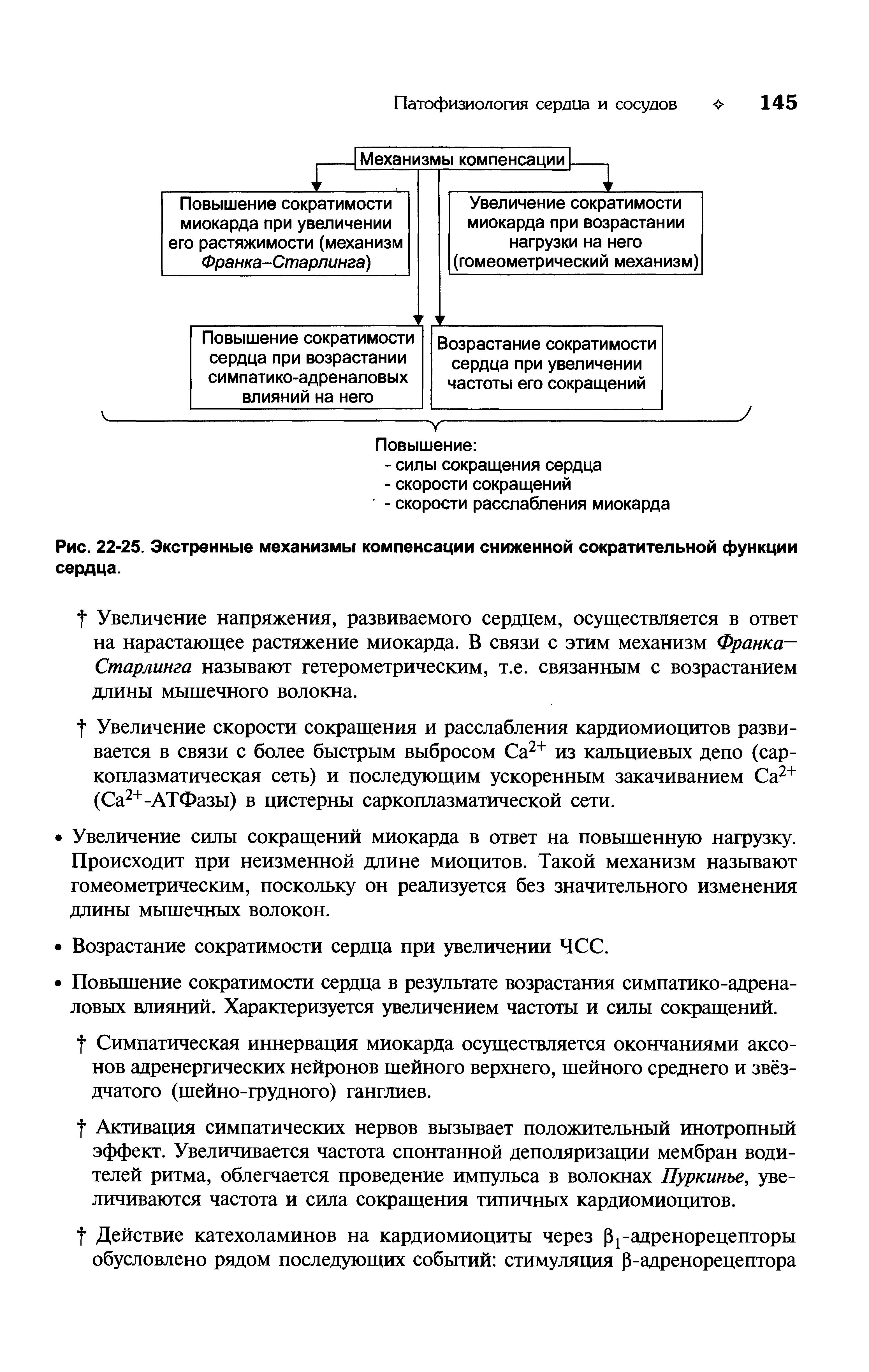 Рис. 22-25. Экстренные механизмы компенсации сниженной сократительной функции сердца.