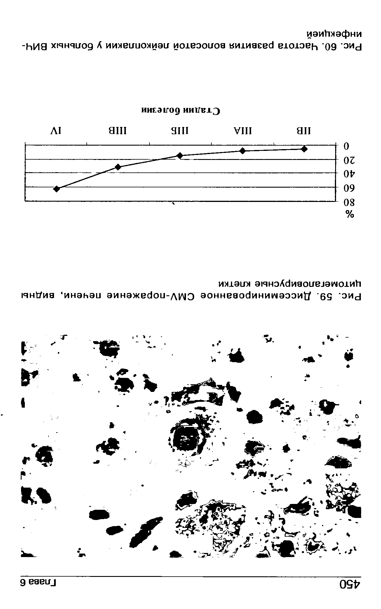 Рис. 60. Частота развития волосатой лейкоплакии у больных ВИЧ-инфекцией...