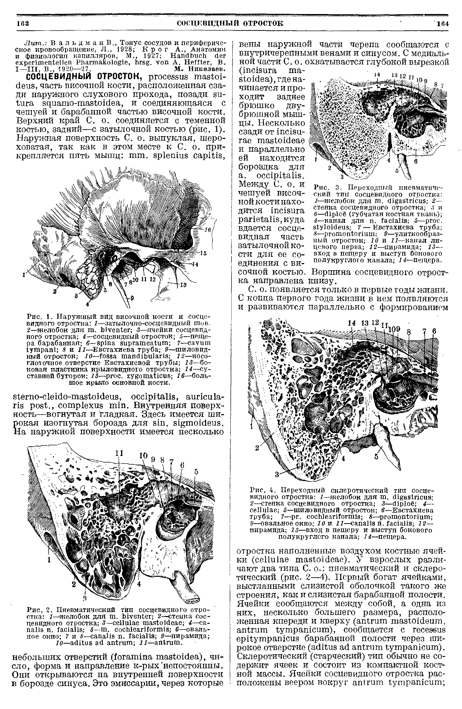 Рис. 4. Переходный склеротический тип сосцевидного отростка 1—желобок для . 2—стенка сосцевидного отростка 3— 4— 5—шиловидный отросток в—Евстахиева труба 7— . — 9—овальное окно Г0 и II— . 12— пирамида 13—вход в пещеру и выступ бокового полукруглого канала 14—пещера.