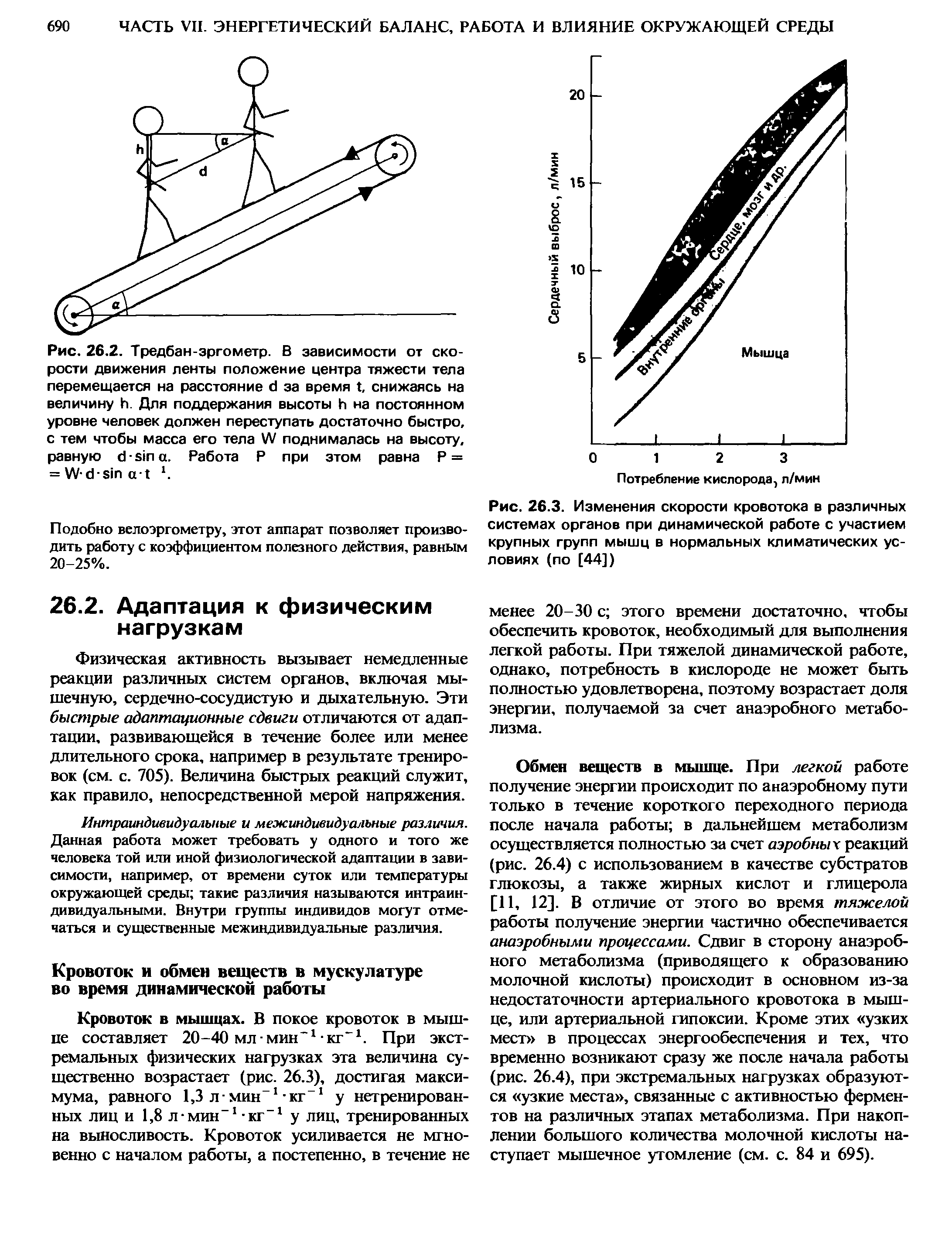 Рис. 26.2. Тредбан-эргометр. В зависимости от скорости движения ленты положение центра тяжести тела перемещается на расстояние за время , снижаясь на величину . Для поддержания высоты на постоянном уровне человек должен переступать достаточно быстро, с тем чтобы масса его тела W поднималась на высоту, равную а. Работа Р при этом равна Р = = W- - . ...