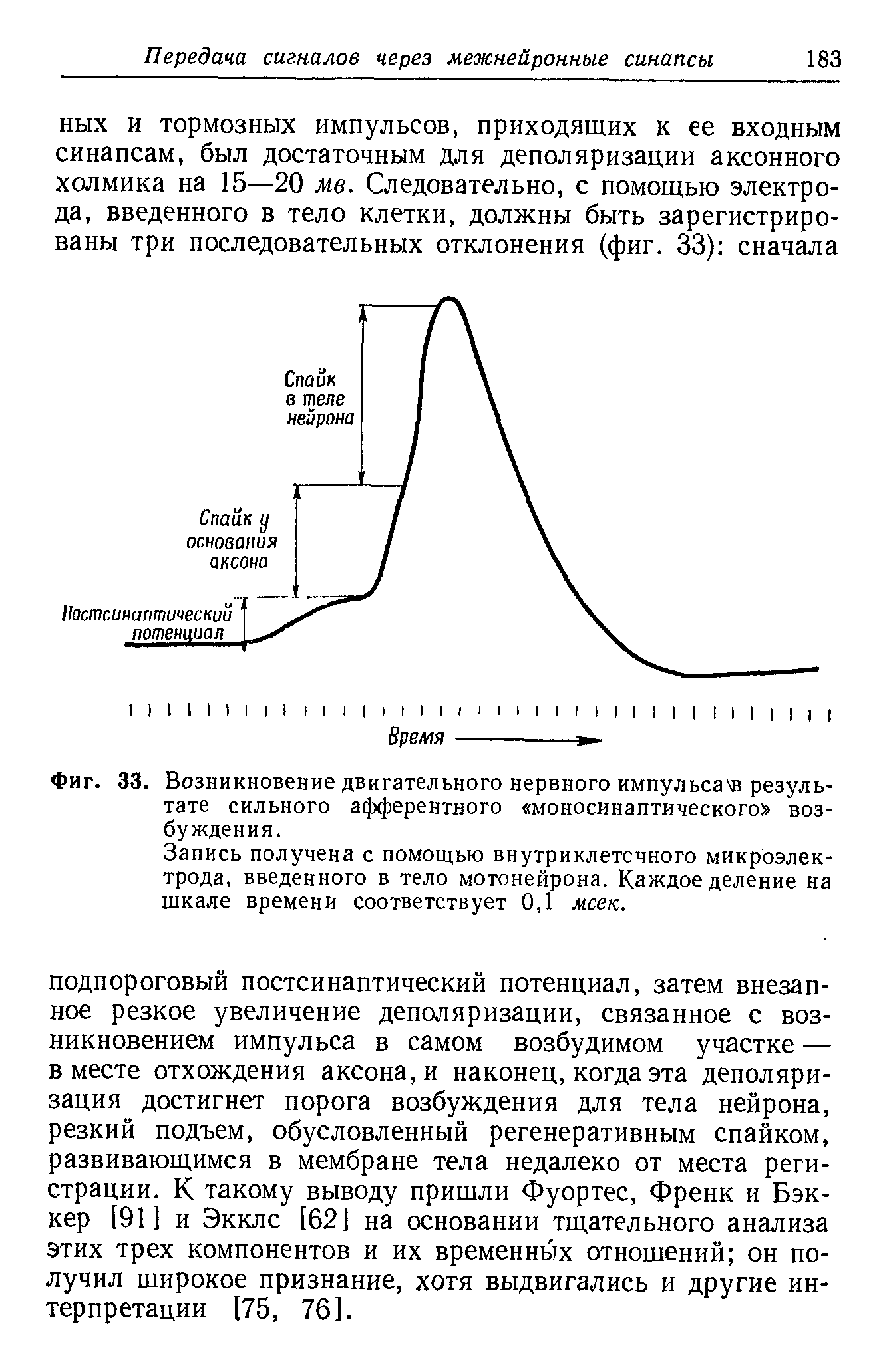 Фиг. 33. Возникновение двигательного нервного импульса результате сильного афферентного моносинаптического возбуждения.