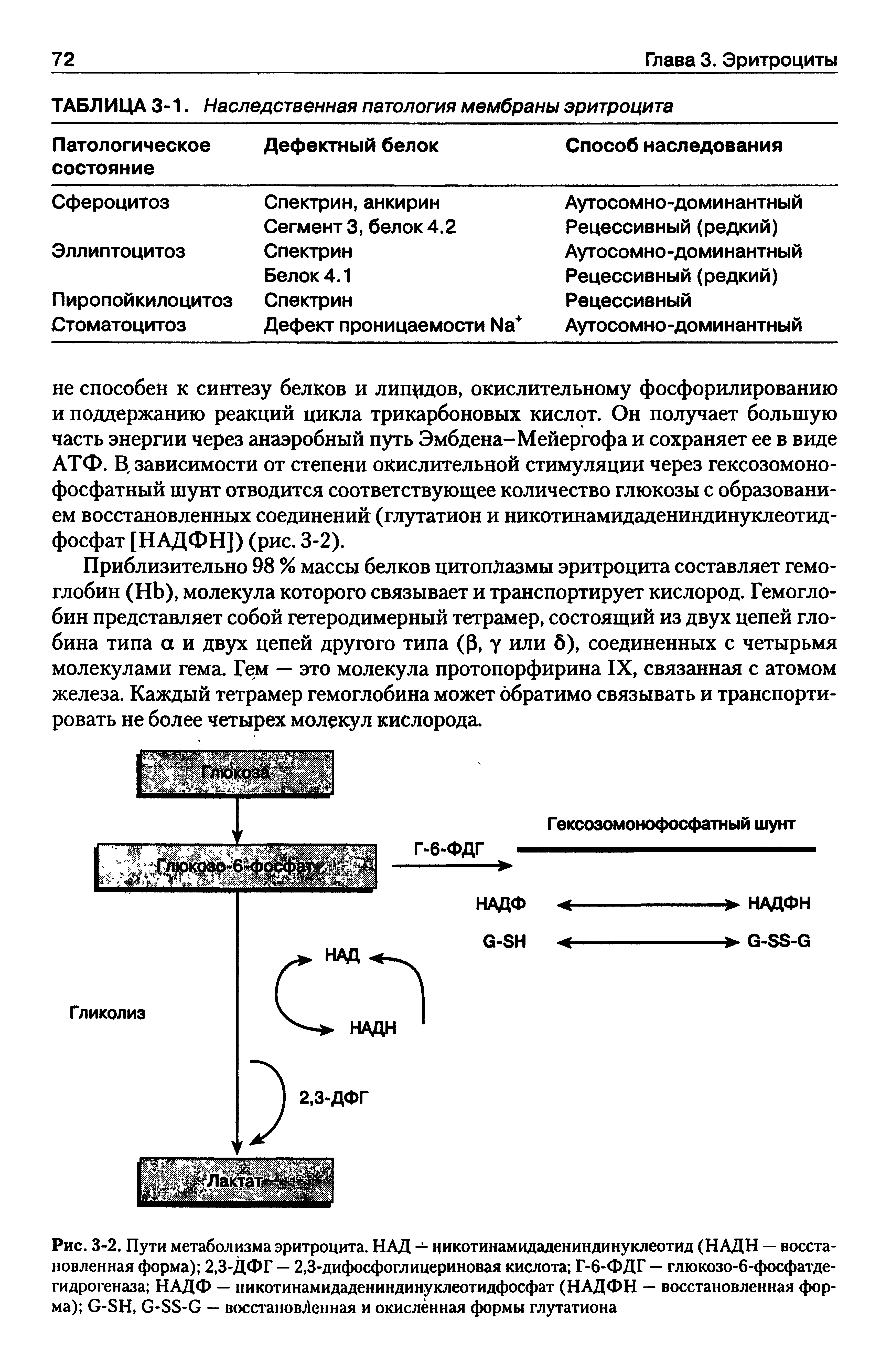 Рис. 3-2. Пути метаболизма эритроцита. НАД — цикотинамидадениндинуклеотид (НАДН — восстановленная форма) 2,3-ДФГ — 2,3-дифосфоглицериновая кислота Г-6-ФДГ — глюкозо-6-фосфатде-гидрогеназа НАДФ — никотинамидадениндинуклеотидфосфат (НАДФН — восстановленная форма) в-БН, С-ББ-С — восстановленная и окисленная формы глутатиона...