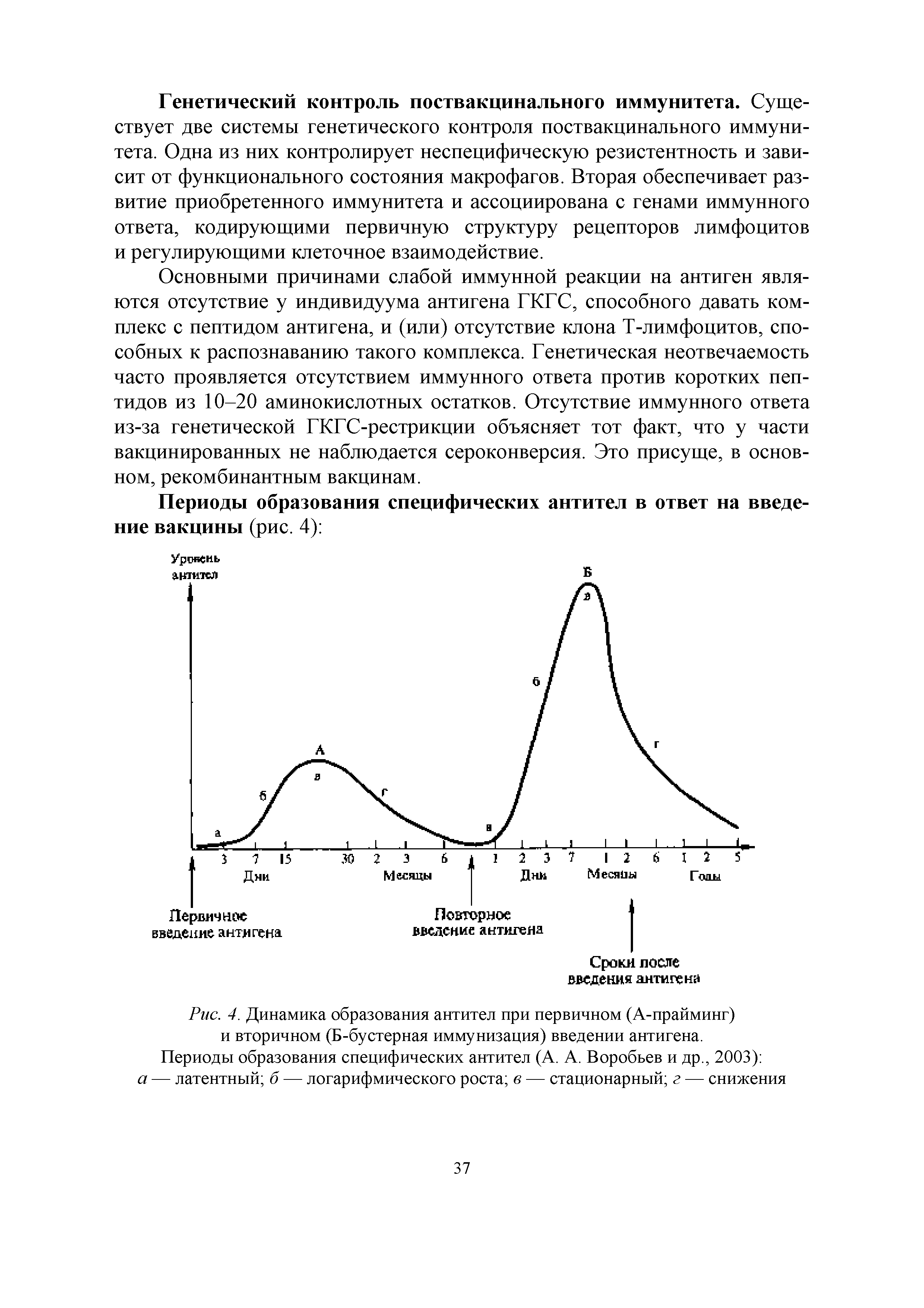 Рис. 4. Динамика образования антител при первичном (А-прайминг) и вторичном (Б-бустерная иммунизация) введении антигена.