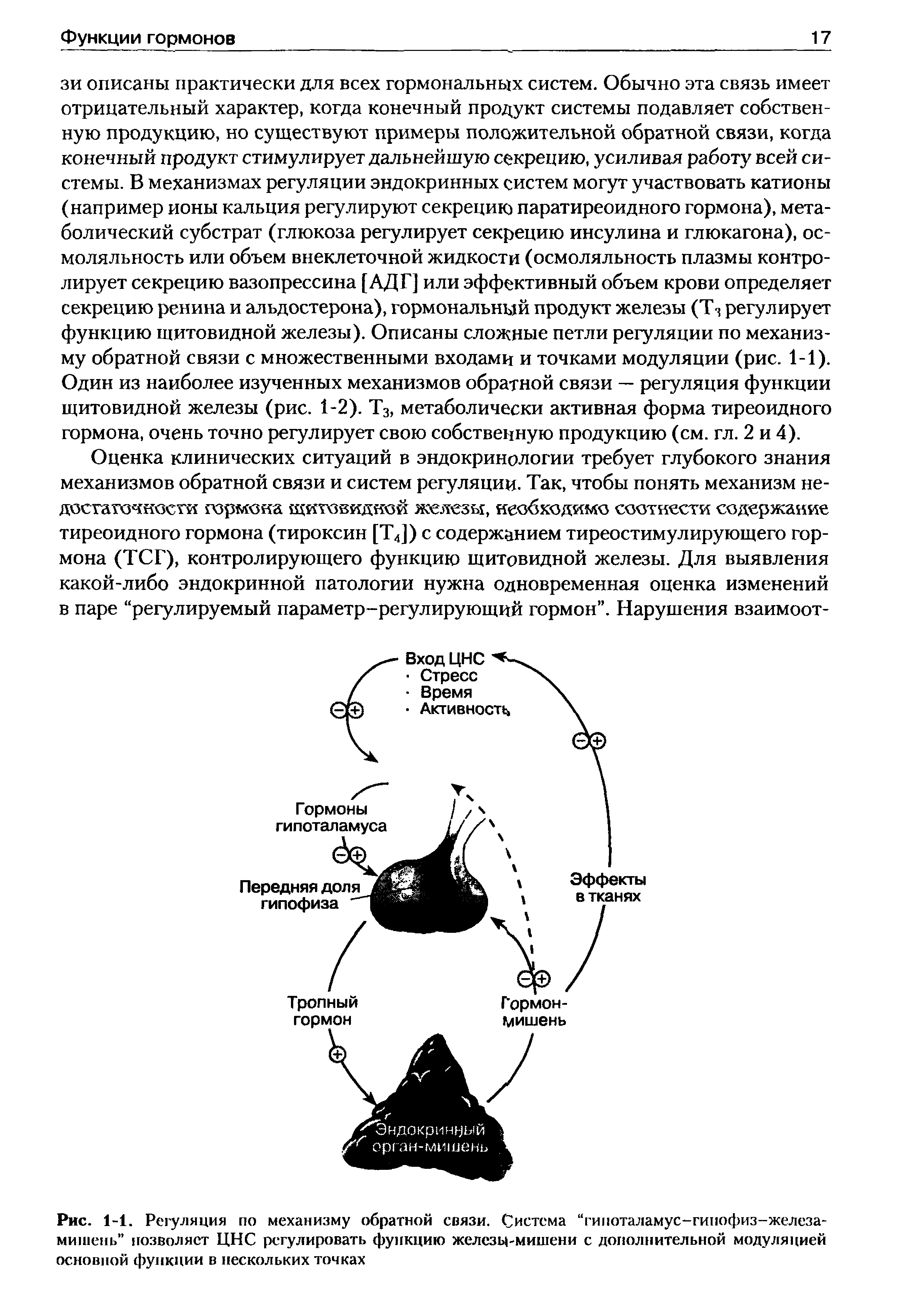 Рис. 1-1. Регуляция по механизму обратной связи. Система гипоталамус-гинофиз-железа-мишень позволяет ЦНС регулировать функцию железц-мишени с дополнительной модуляцией основной функции в нескольких точках...