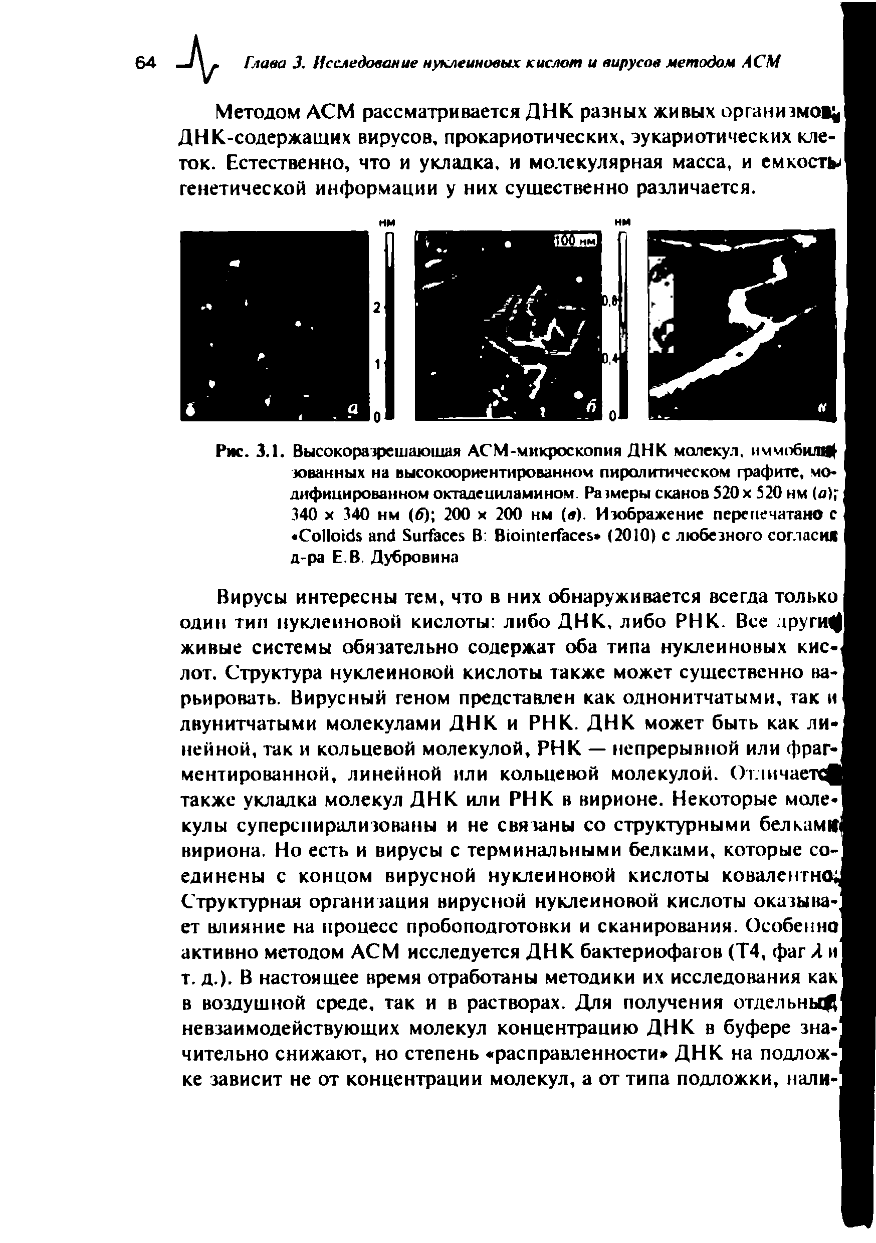 Рис. 3.1. Высокоразрешающая АСМ-микроскопия ДНК молекул, иммобилф зованных на высокоориентированном пиролитическом графите, модифицированном октадециламином. Размеры сканов 520 х 520 нм (о) 340 х 340 нм (б) 200 х 200 нм (в). Изображение перепечатано с C S В B (2010) с любезного согласи д-ра Е В. Дубровина...