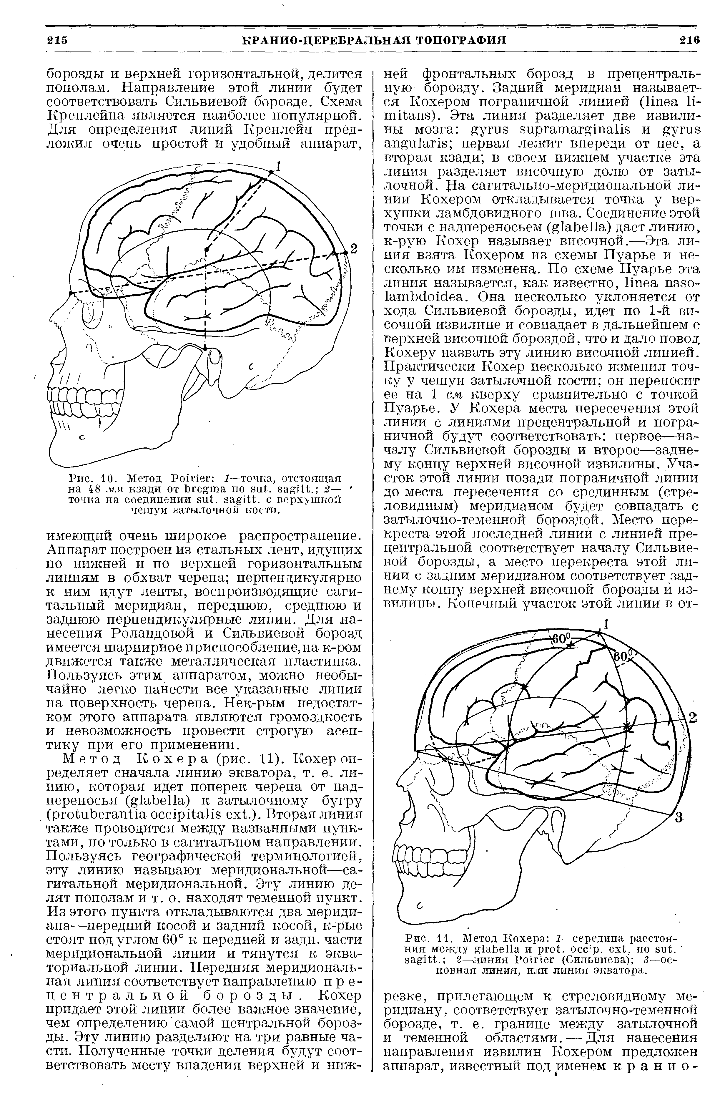 Рис. 11. Метод Кохера 1—середина расстояния между и . . . по . . 2—линия P (Сильвиева) 3—основная линия, или линия экватора.