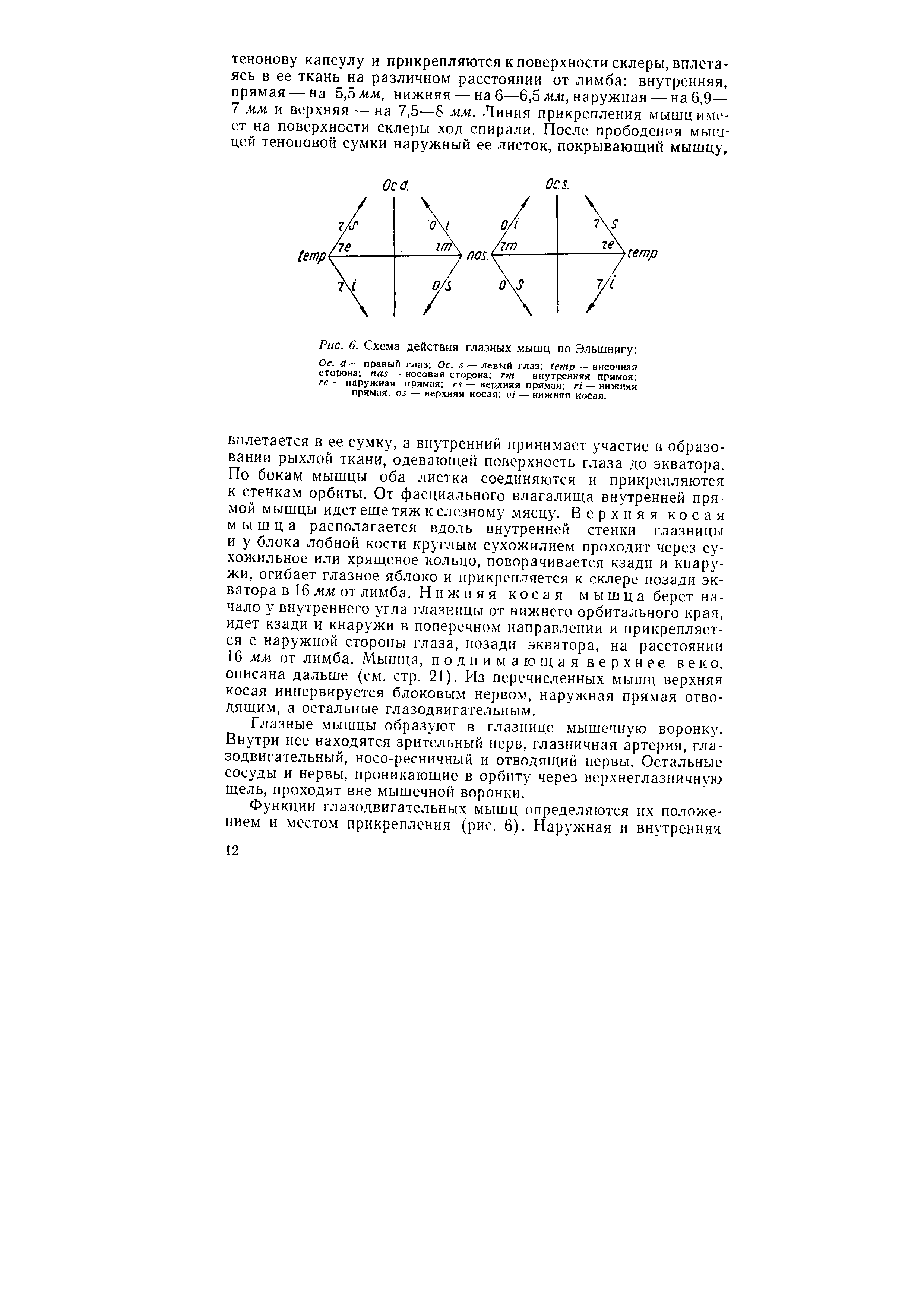 Рис. 6. Схема действия глазных мышц по Эльшнигу Ос. — правый глаз Ос. — левый глаз — височная сторона — носовая сторона гт — внутренняя прямая ге — наружная прямая — верхняя прямая — нижняя прямая, 05 — верхняя косая — нижняя косая.