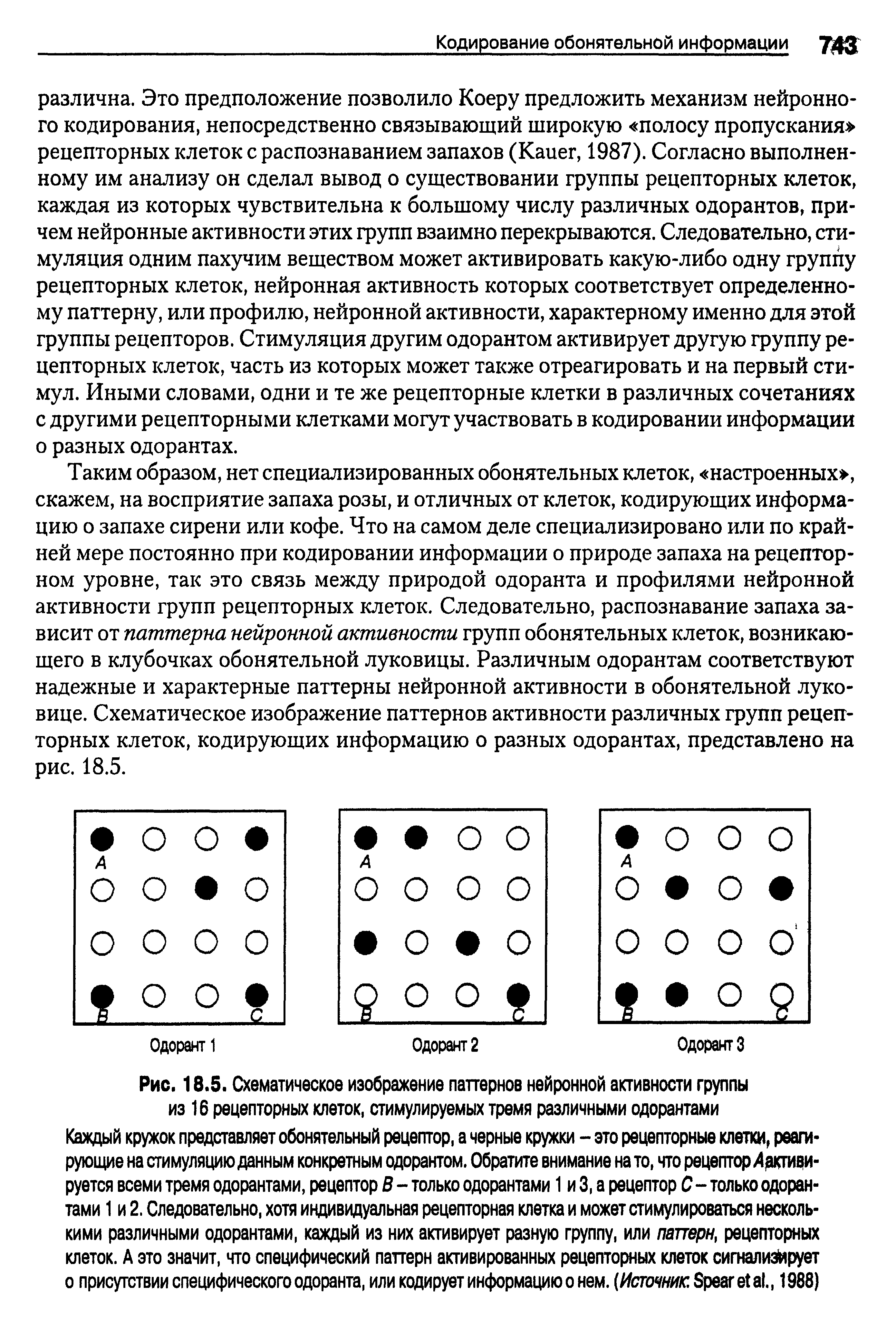 Рис. 18.5. Схематическое изображение паттернов нейронной активности группы из 16 рецепторных клеток, стимулируемых тремя различными одорантами...