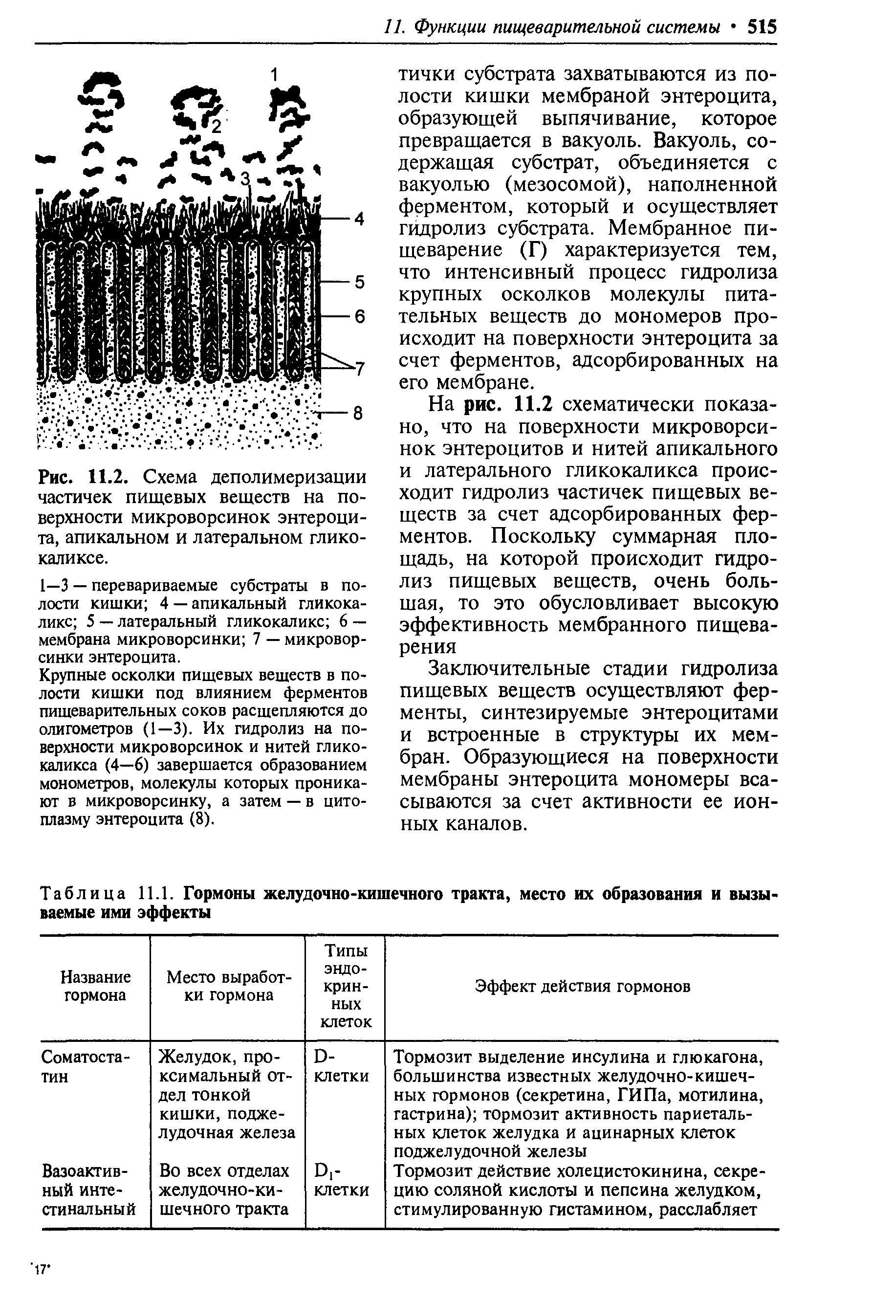 Таблица 11.1. Гормоны желудочно-кишечного тракта, место их образования и вызываемые ими эффекты...