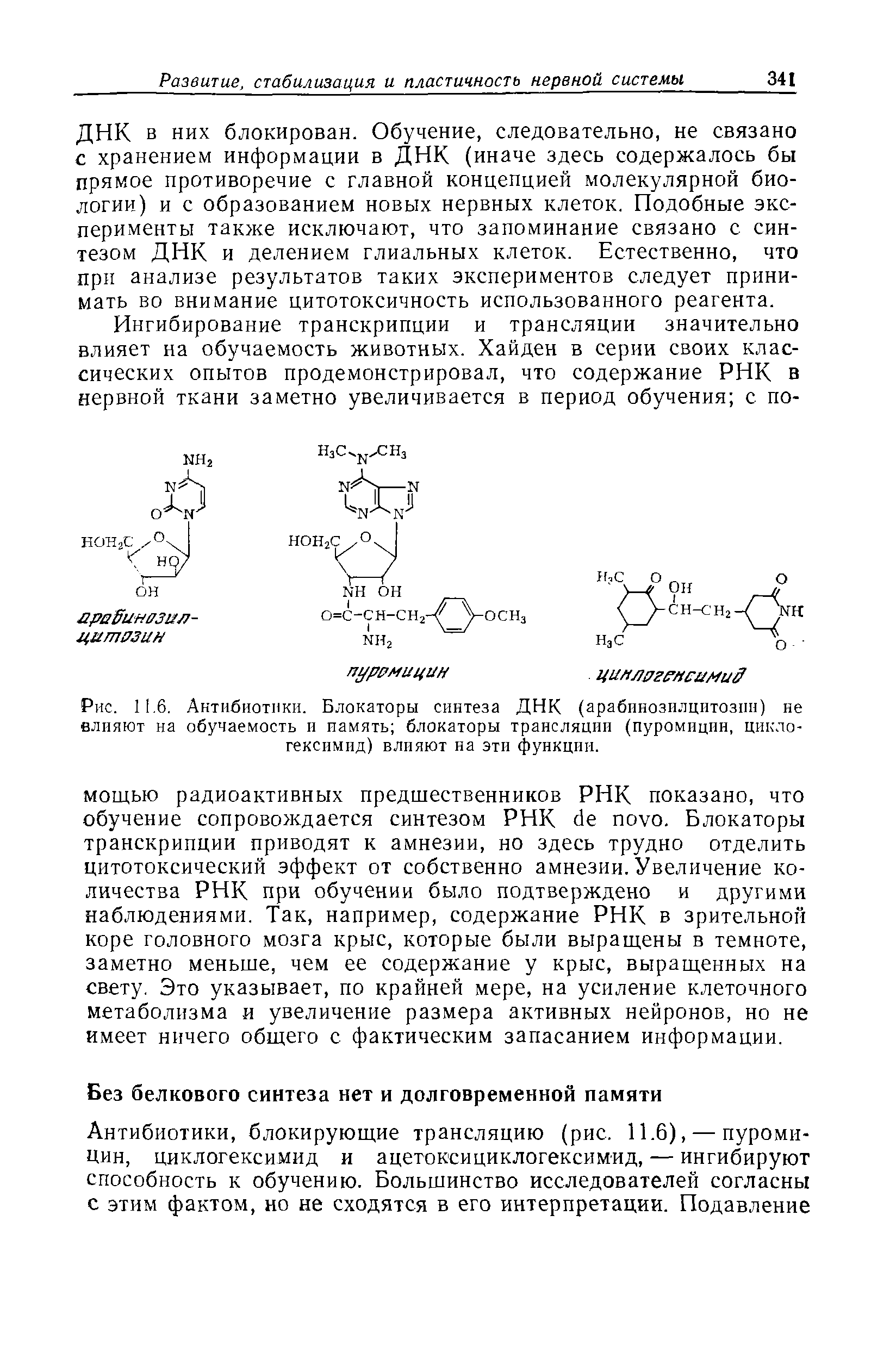 Рис. 11.6. Антибиотики. Блокаторы синтеза ДНК (арабинозилцитозпн) не влияют на обучаемость и память блокаторы трансляции (пуромпцпн, циклогексимид) влияют на эти функции.
