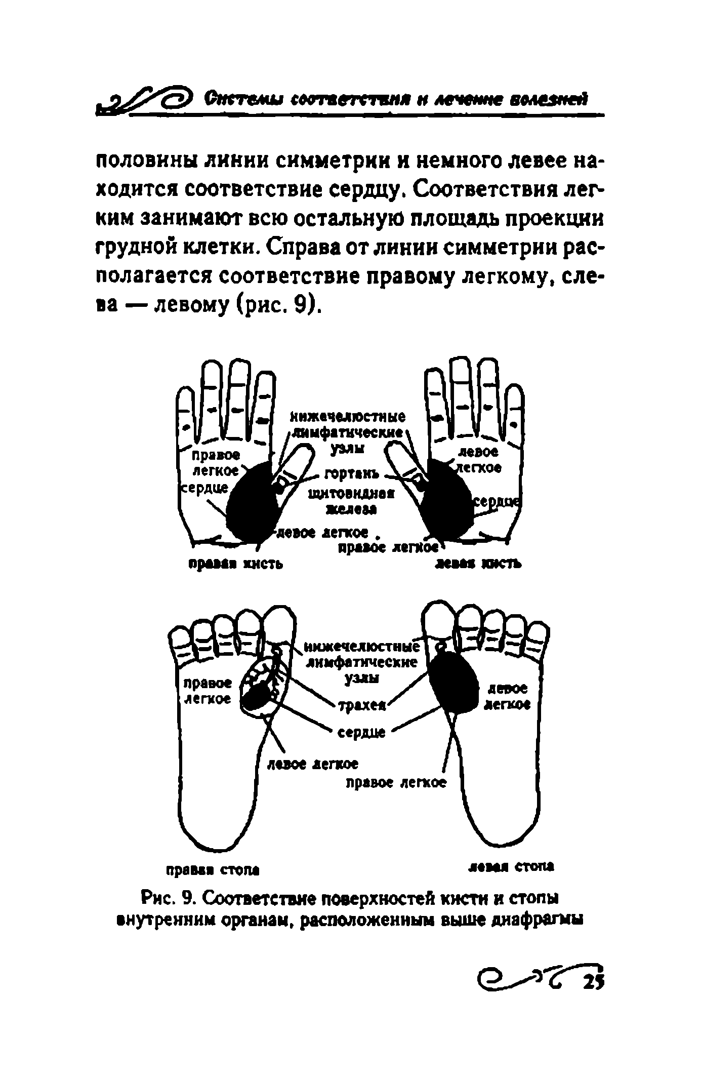 Рис. 9. Соответствие поверхностей кисти и стопы внутренним органам, расположенным выше диафрагмы...