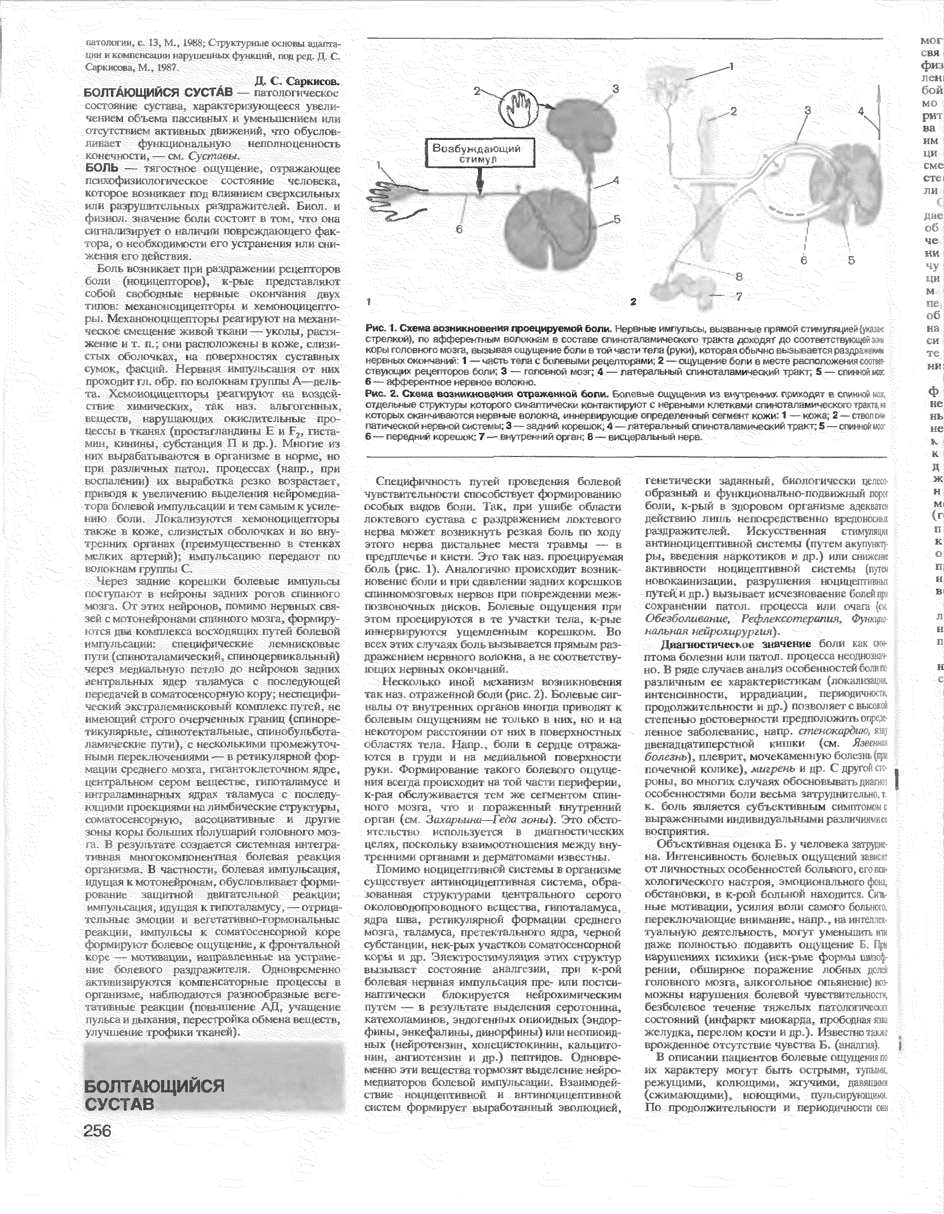 Рис. 2. Схема возникновения отраженной боли. Болевые ощущения из виутреинлк приходят в спинной, я, отдельные структуры которого синаптически контактируют с нервными клетками спиноталамического тракта, которых оканчиваются нервные волокна, иннервирующие определенный сегмент кожи 1 — кожа 2 — ствол о патической нервной системы 3 — задний корешок 4 — латеральный спиноталамический тракт 5—спинной г Ъ— передний корешок 7— внутренний орган 8 — висцеральный нерв.