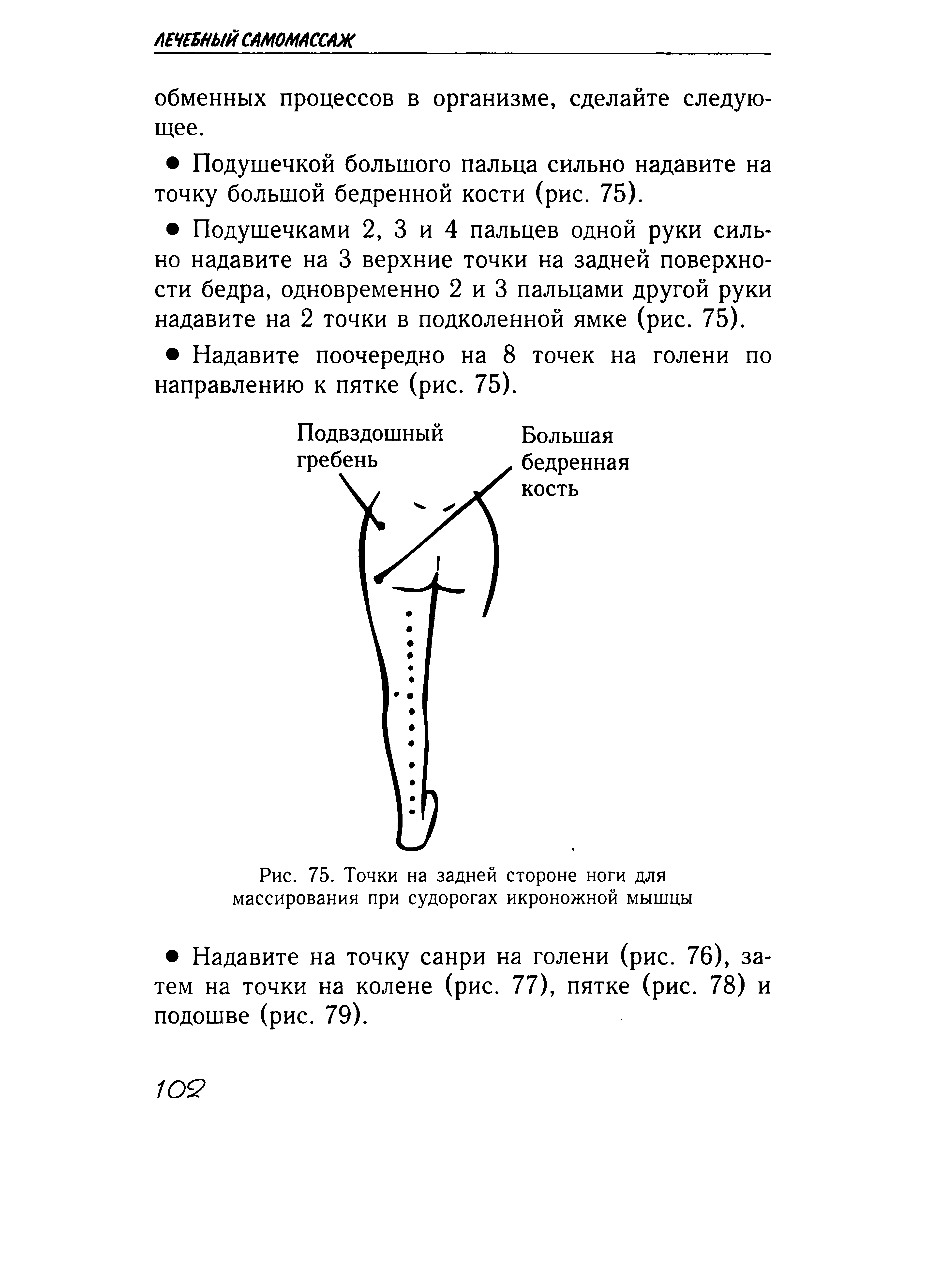 Рис. 75. Точки на задней стороне ноги для массирования при судорогах икроножной мышцы...