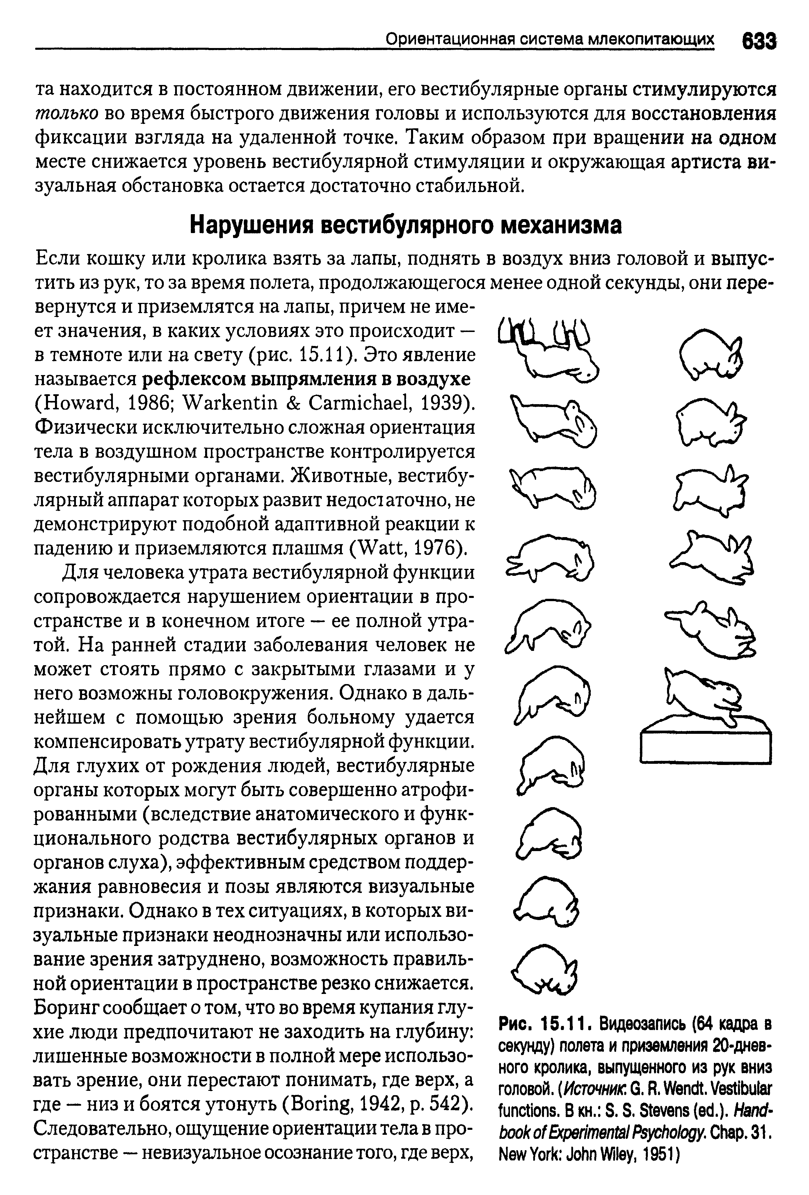 Рис. 15.11. Видеозапись (64 кадра в секунду) полета и приземления 20-дневного кролика, выпущенного из рук вниз головой. (Источник1. G. R. W . V . В кн. S. S. S ( .). H E P . C . 31. N Y J W , 1951)...