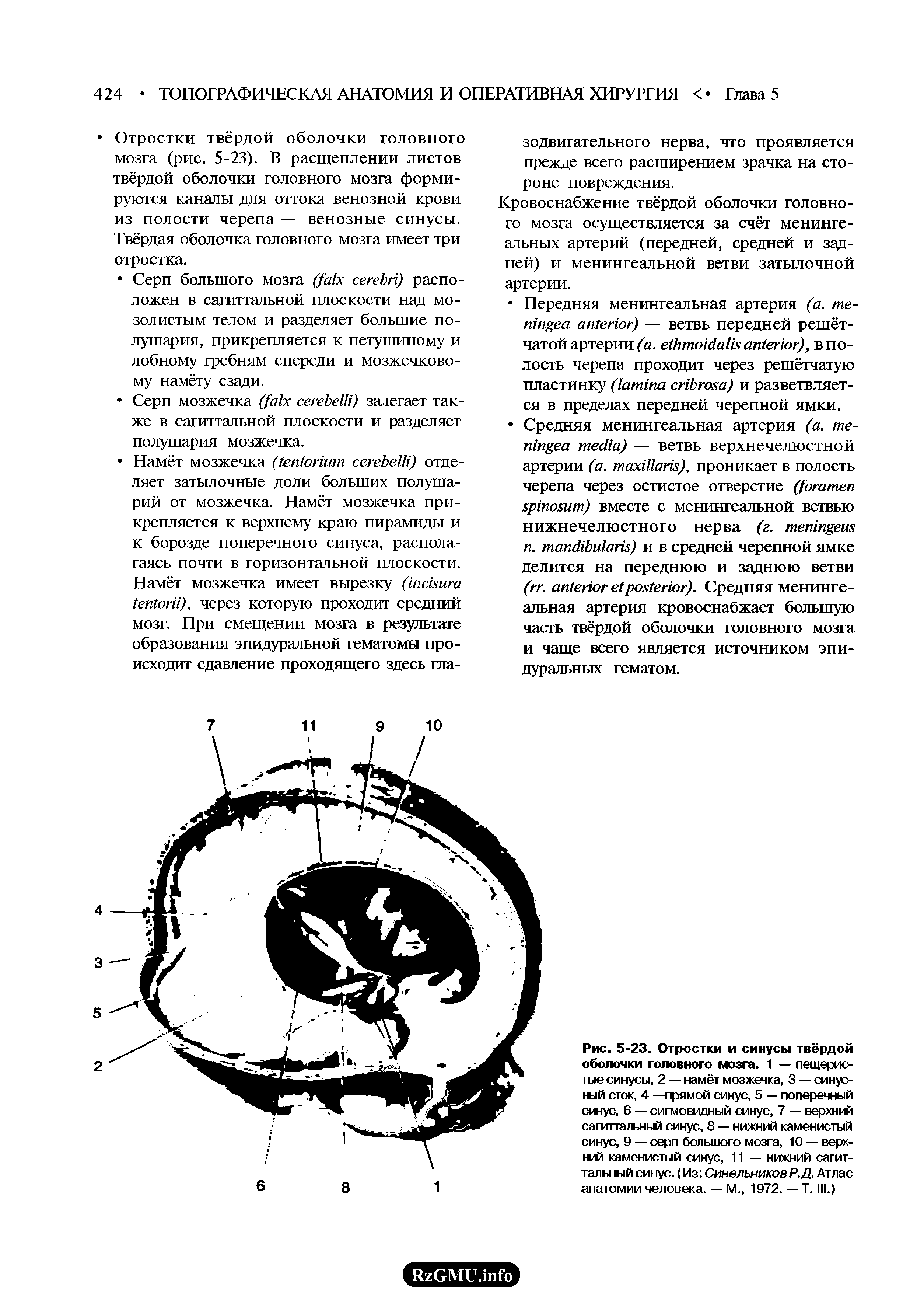 Рис. 5-23. Отростки и синусы твёрдой оболочки головного мозга. 1 — пещеристые синусы, 2 — намёт мозжечка, 3 — синусный сток, 4 —прямой синус, 5 — поперечный синус, 6 — ситовидный синус, 7 — верхний сагиттальный синус, 8 — нижний каменистый синус, 9 — серп большого мозга, 10 — верхний каменистый синус, 11 — нижний сагиттальный синус. (Из Синельников Р.Д. Атлас анатомии человека. — М., 1972. — Т. III.)...