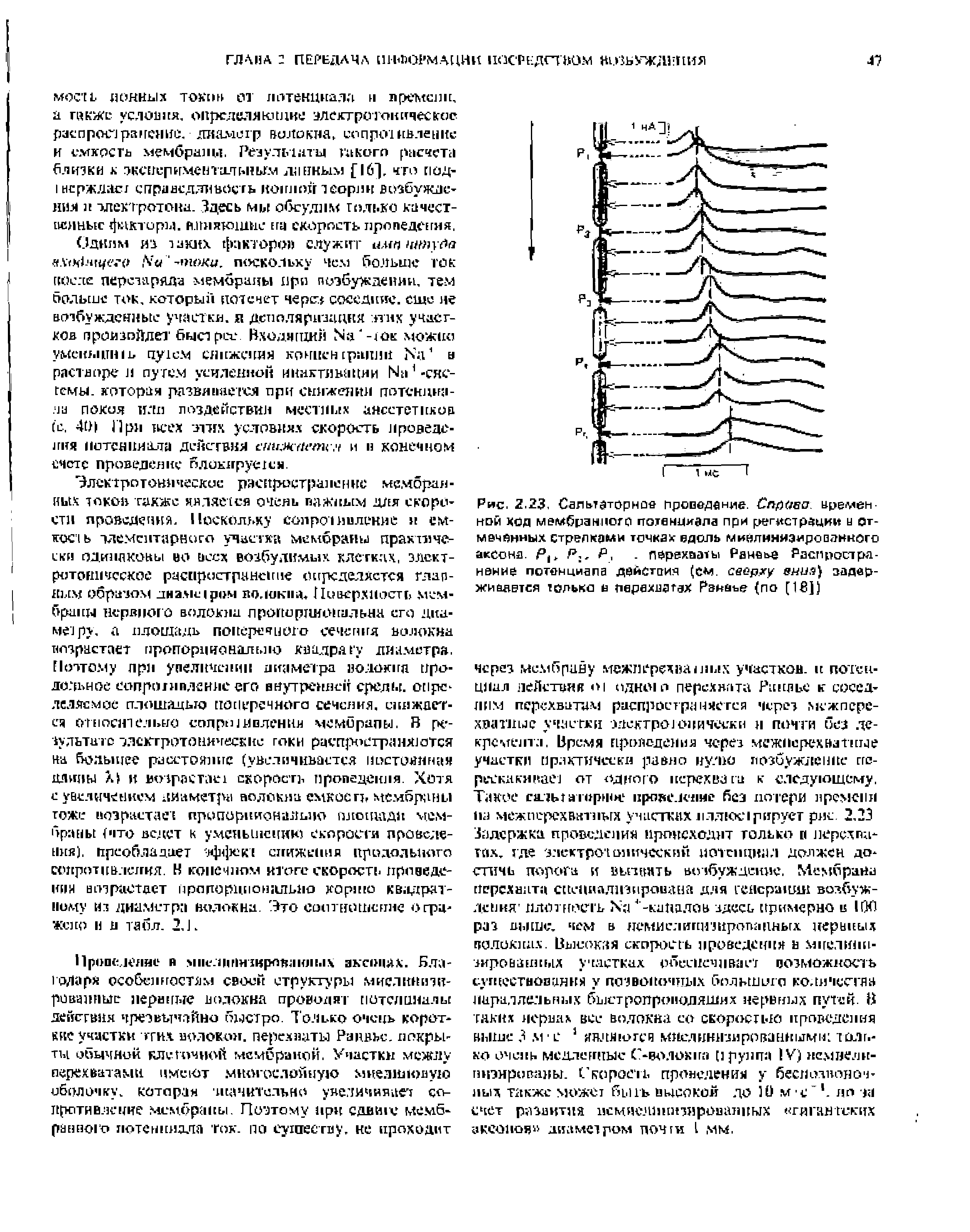Рис. 2.23, Сальтаторнол проведение. Справа. временной ход мембранною потенциала при регистрации и отмеченных стрелками точках вдоль минлинизированного аксона. Р(, Р,. Р,. пйрехаать Ранеье Распространение потенциала действия (ем. сверху алия) задерживается только в перехватах Рзнаъе (по [16])...