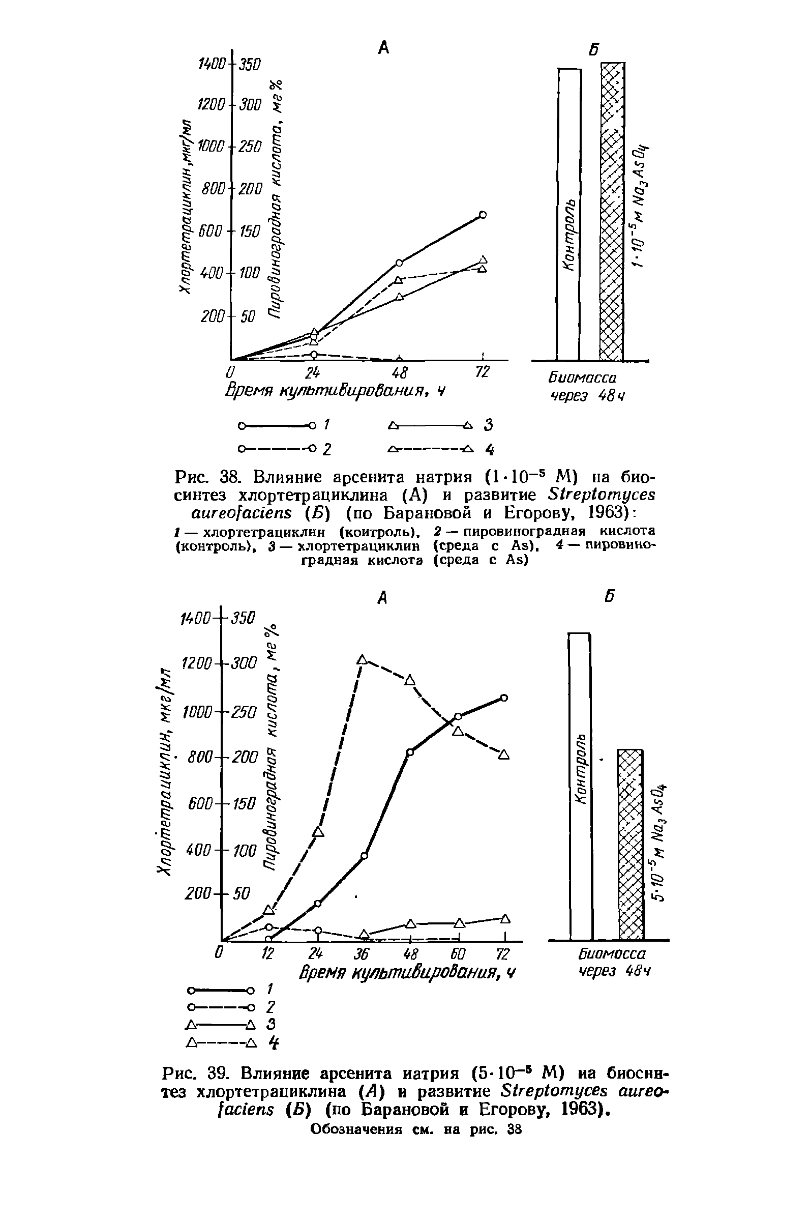 Рис. 38. Влияние арсенита натрия (1-Ю-5 М) на биосинтез хлортетрациклина (А) и развитие БкерЬзтусез аигео1ас1впз (Б) (по Барановой и Егорову, 1963) ...