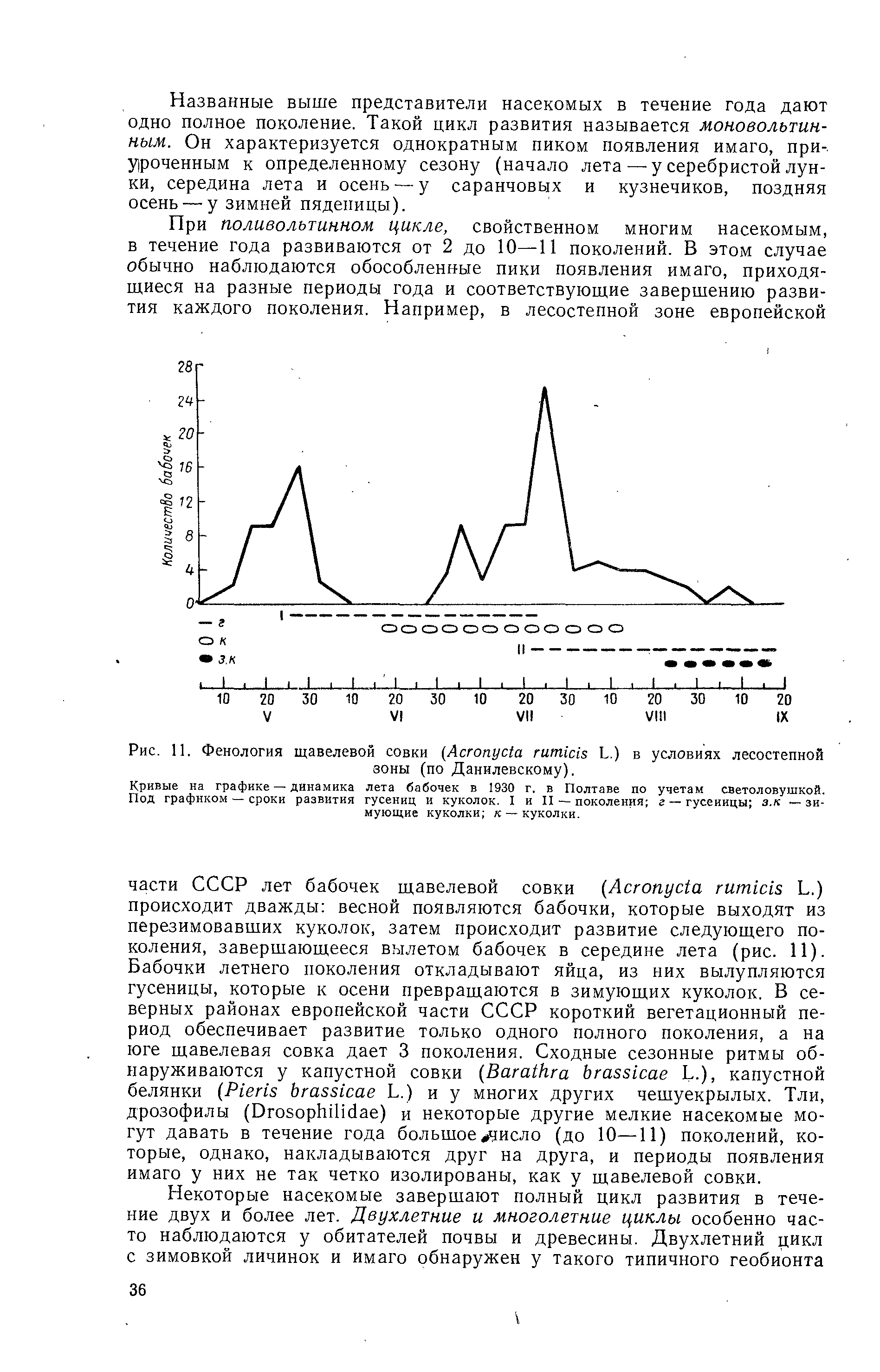 Рис. И. Фенология щавелевой совки (A L.) в условиях лесостепной зоны (по Данилевскому).