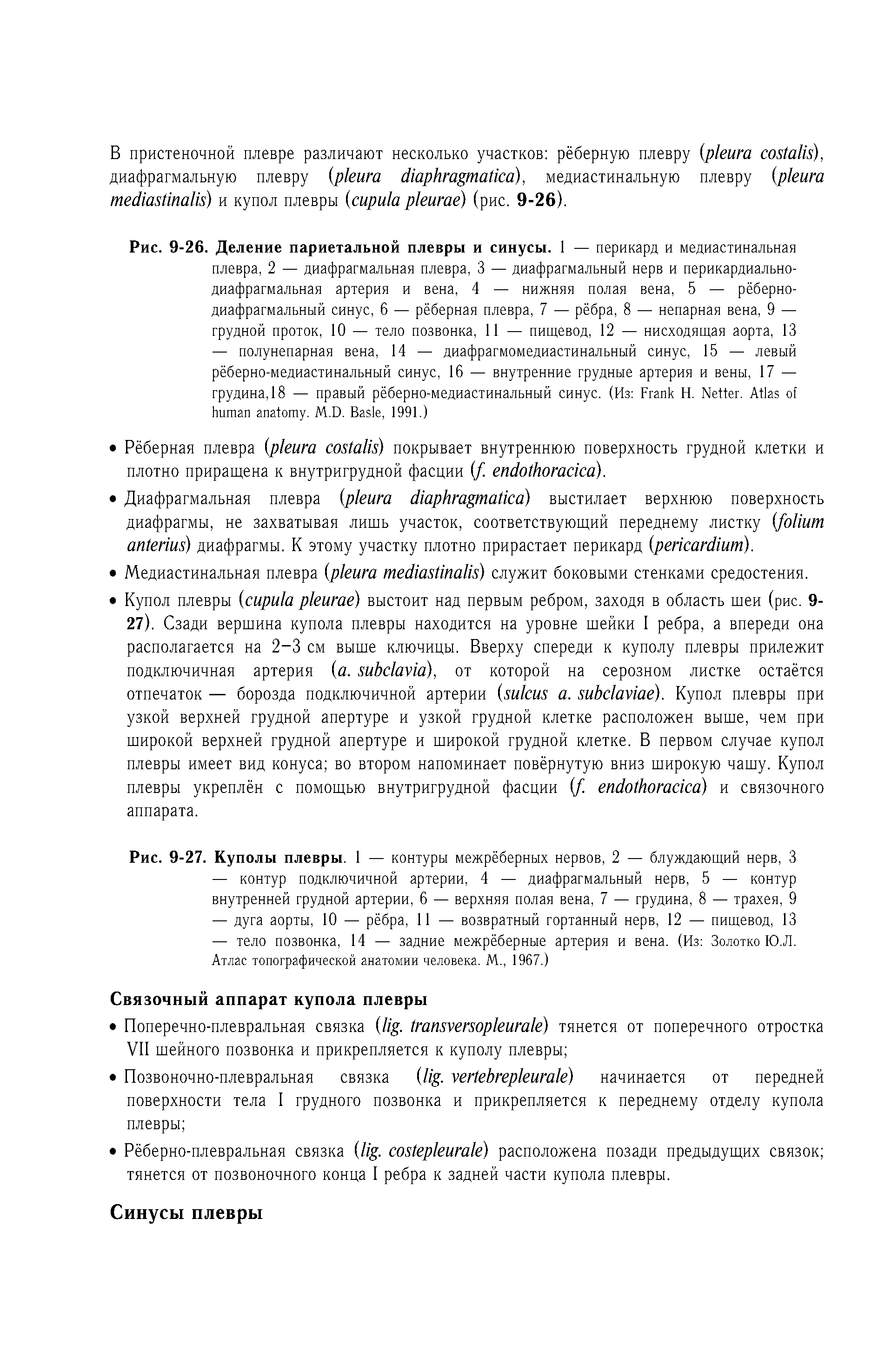 Рис. 9-26. Деление париетальной плевры и синусы. 1 — перикард и медиастинальная плевра, 2 — диафрагмальная плевра, 3 — диафрагмальный нерв и перикардиальнодиафрагмальная артерия и вена, 4 — нижняя полая вена, 5 — рёберно-диафрагмальный синус, 6 — рёберная плевра, 7 — рёбра, 8 — непарная вена, 9 — грудной проток, 10 — тело позвонка, 11 — пищевод, 12 — нисходящая аорта, 13...