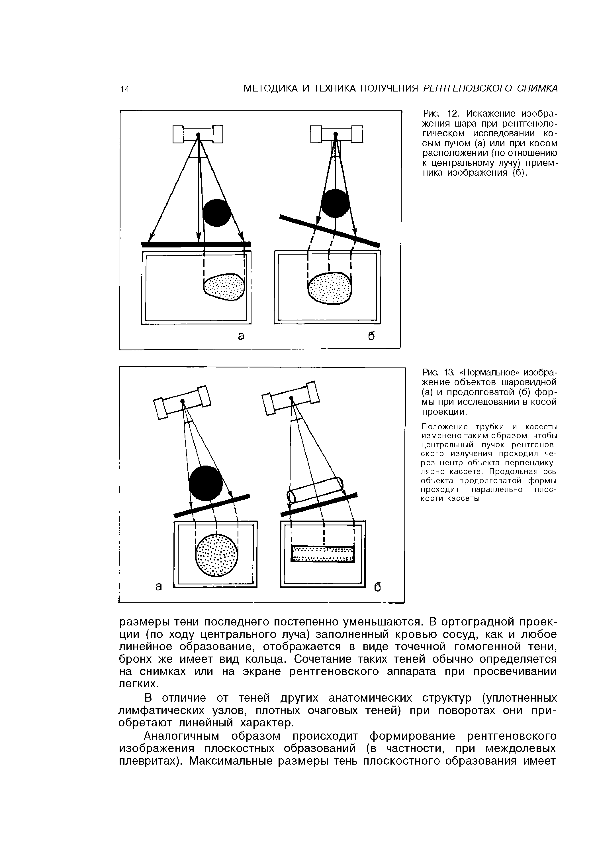 Рис. 13. Нормальное изображение объектов шаровидной (а) и продолговатой (б) формы при исследовании в косой проекции.