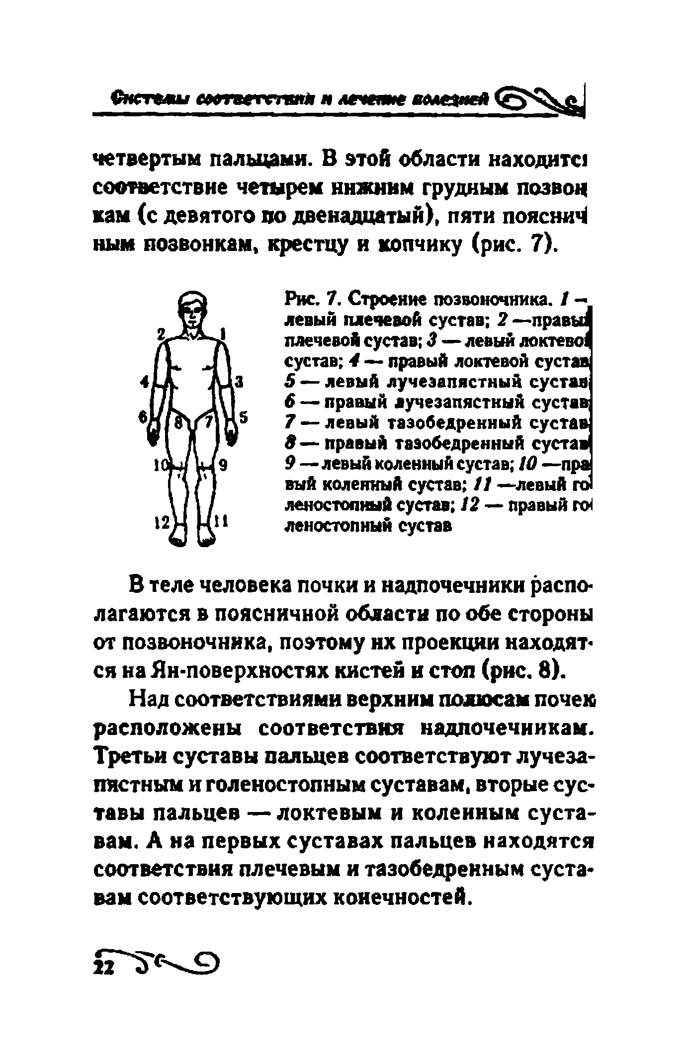 Рис. 7. Строение позвоночника. / -левый плечевой сустав 2 — правы) плечевой сустав 3—левый локтево сустав 4 — правый локтевой сустав — левый лучезапястный сустав...