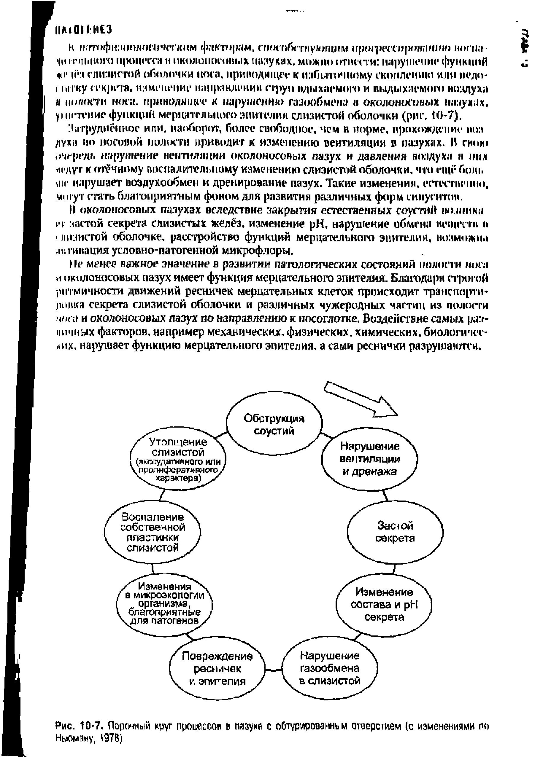 Рис. 10-7. Порочный круг процессов в пазухе с обтурированным отверстием (с изменениями по Ньюмену, 1978).