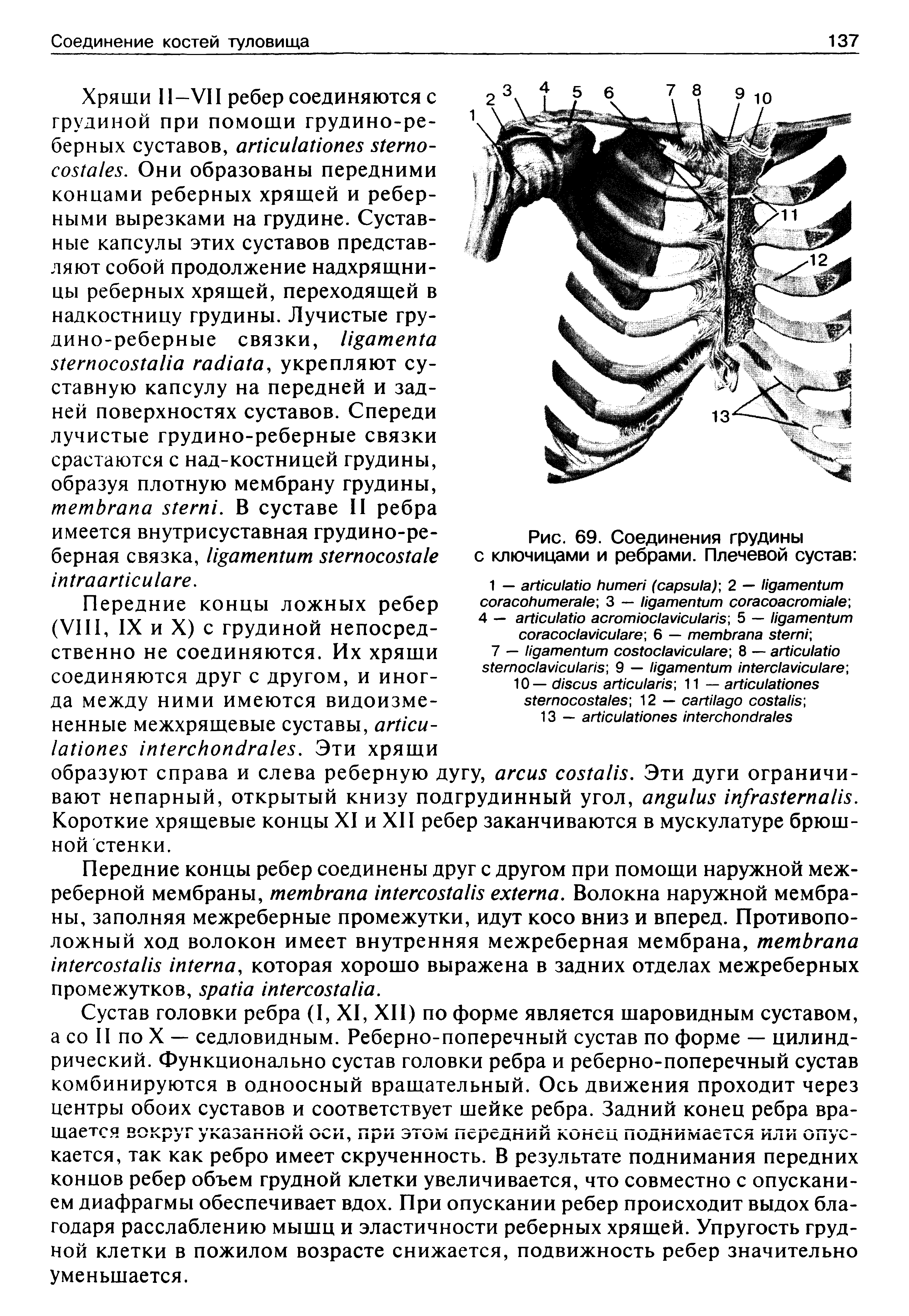 Рис. 69. Соединения грудины с ключицами и ребрами. Плечевой сустав ...