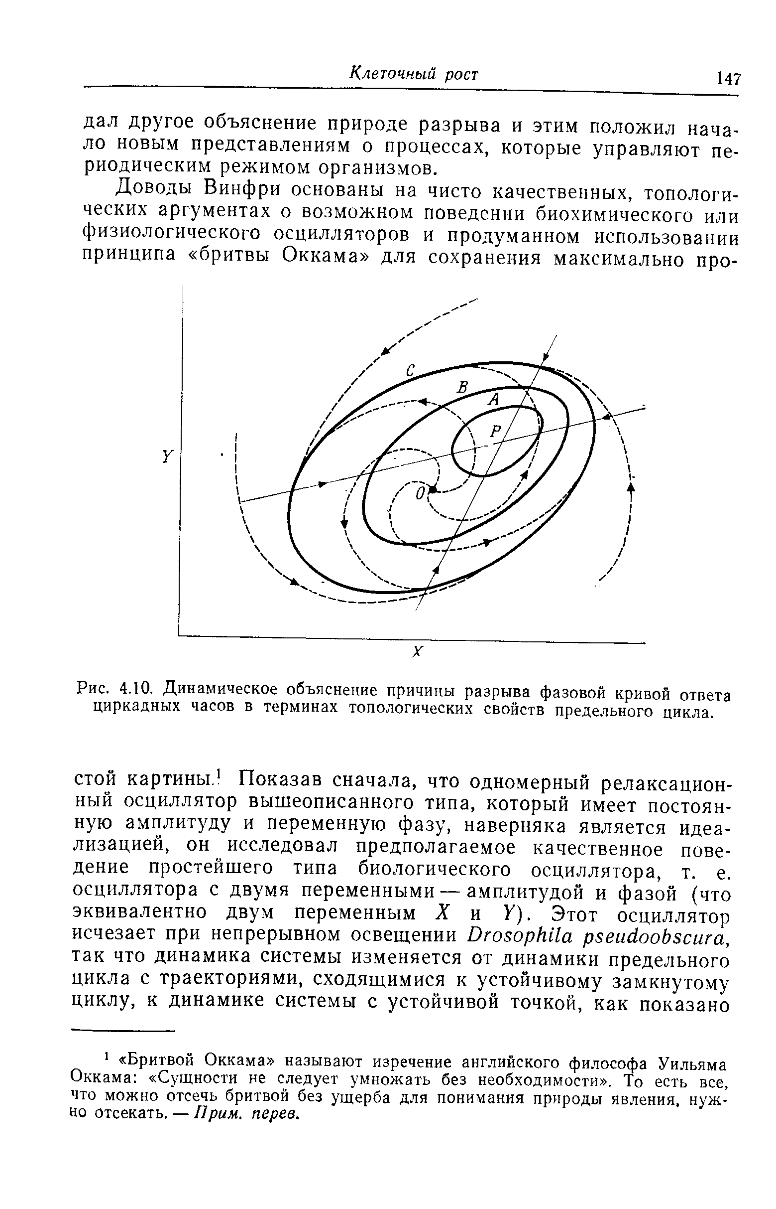 Рис. 4.10. Динамическое объяснение причины разрыва фазовой кривой ответа циркадных часов в терминах топологических свойств предельного цикла.