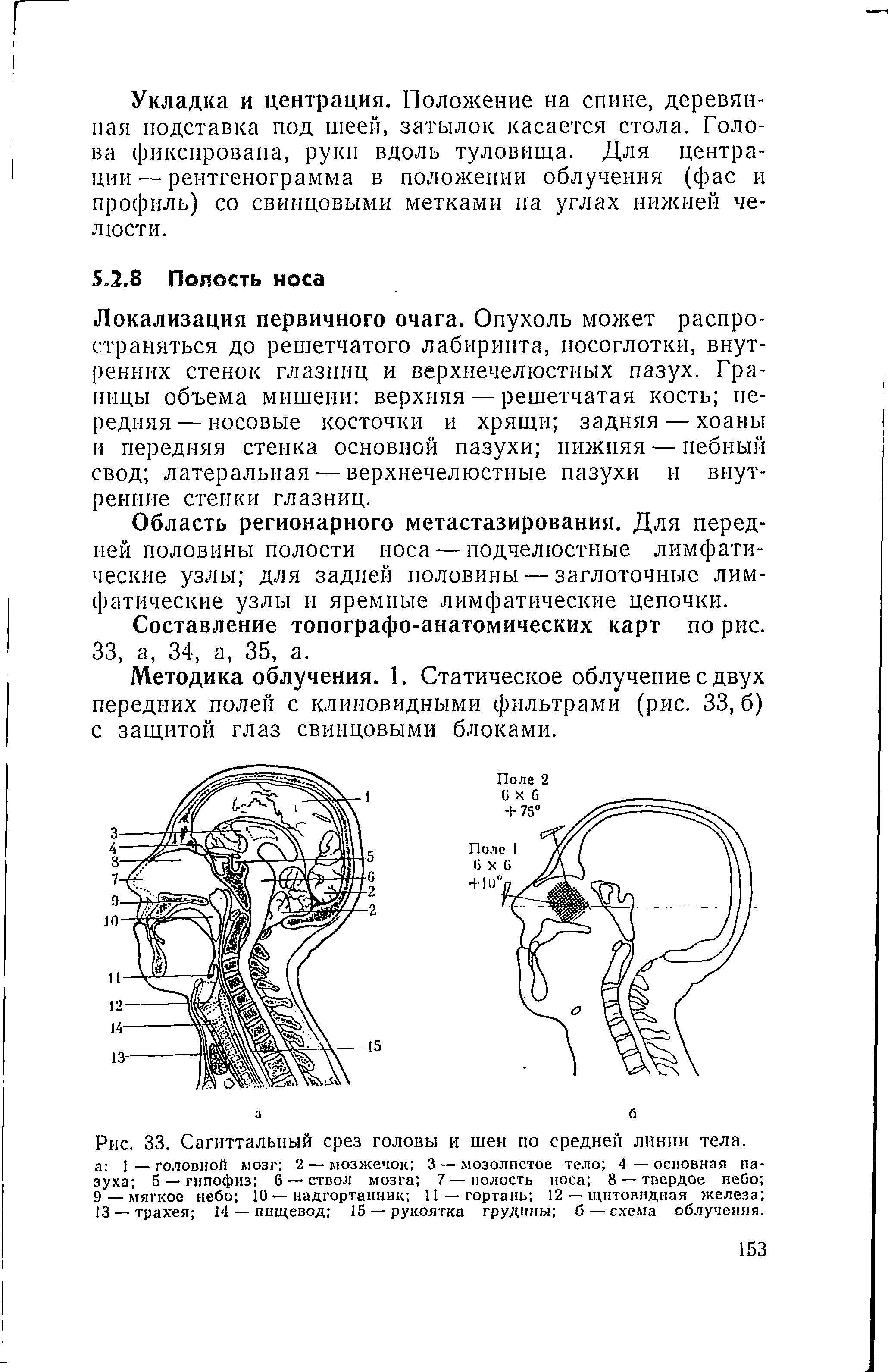 Рис. 33. Сагиттальный срез головы и шеи по средней линии тела.