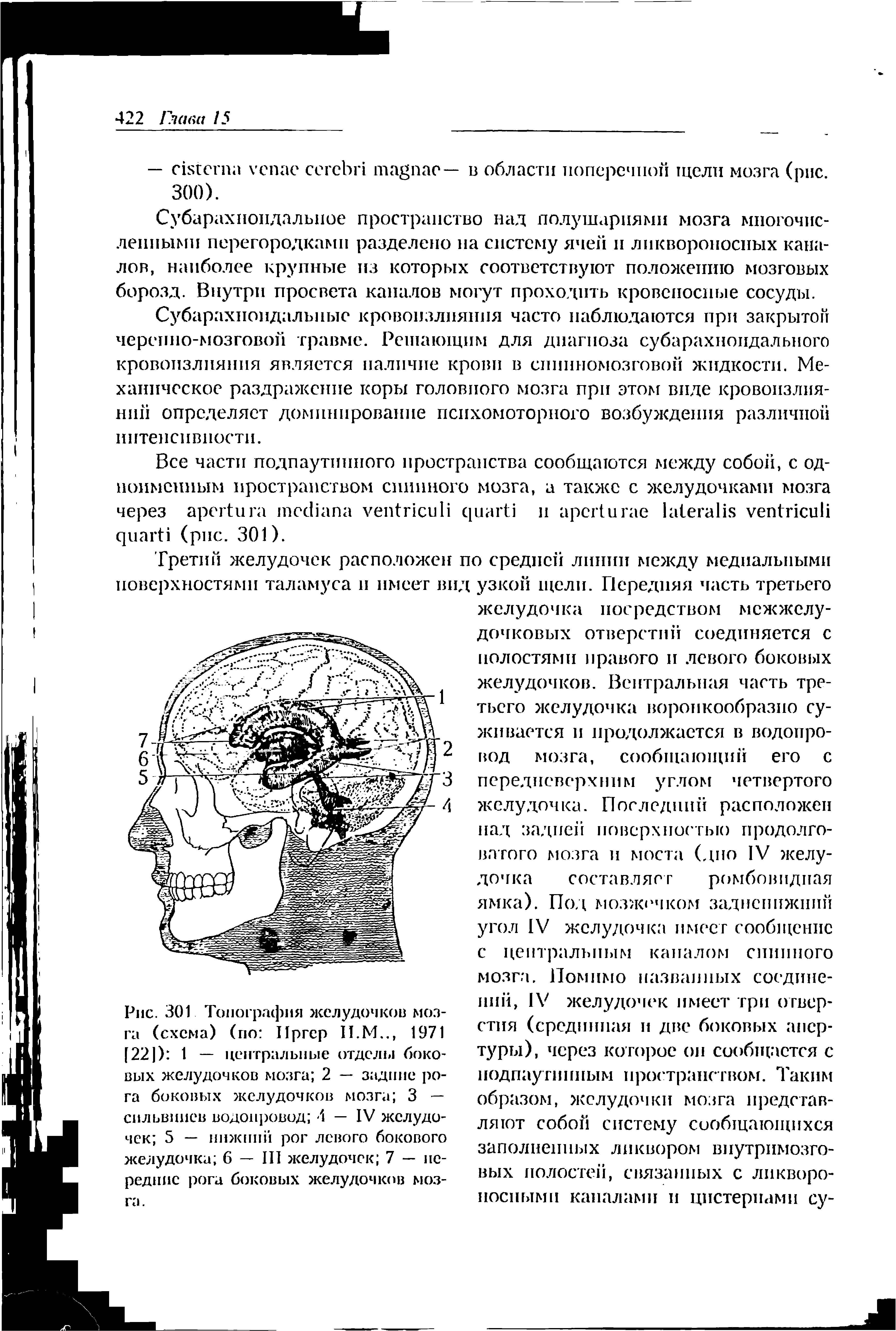 Рис. 301 Топография желудочков мозга (схема) (по Пргер II.М.., 1971 [221) 1 — центральные отделы боковых желудочков мозга 2 — задние рога боковых желудочков мозга 3 — сильвинов водопровод 4 — IV желудочек 5 — нижний рог левого бокового желудочка 6 — III желудочек 7 — передние рога боковых желудочков мозга.