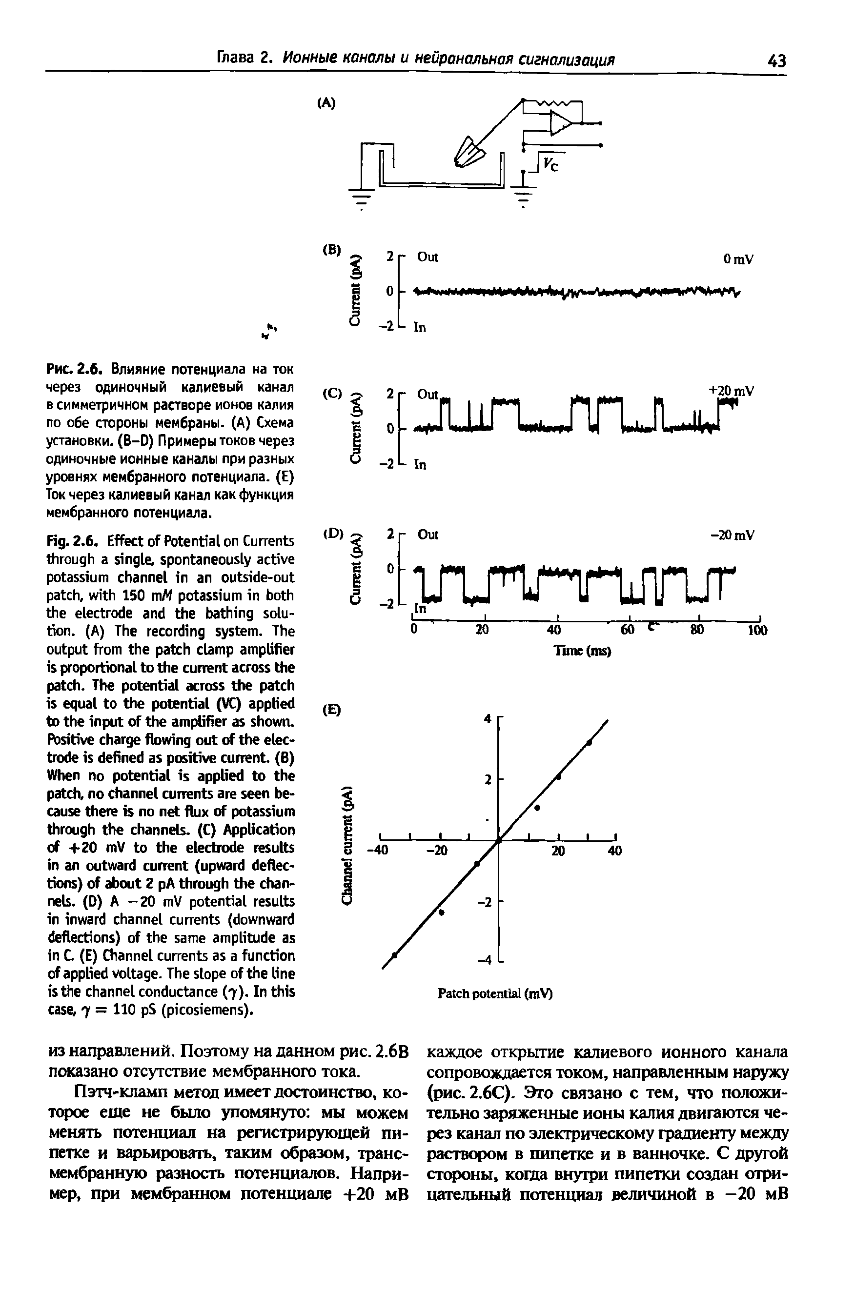 Рис. 2.6. Влияние потенциала на ток через одиночный калиевый канал в симметричном растворе ионов калия по обе стороны мембраны. (А) Схема установки. (В-D) Примеры токов через одиночные ионные каналы при разных уровнях мембранного потенциала. (Е) Ток через калиевый канал как функция мембранного потенциала.
