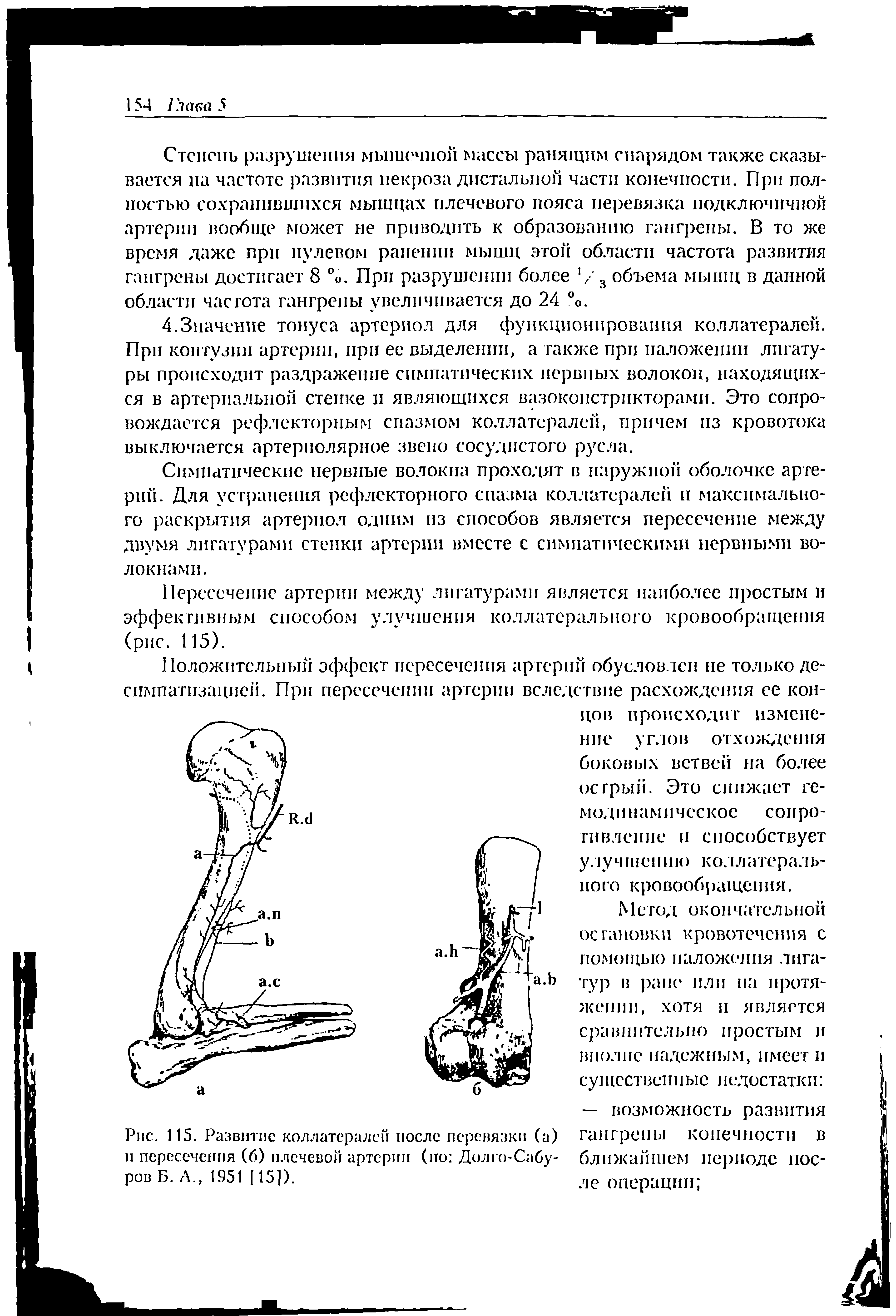 Рис. 115. Развитие коллатералей после перевязки (а) и пересечения (б) плечевой артерии (по Долго-Сабу-ров Б. А., 1951 [ 15]).