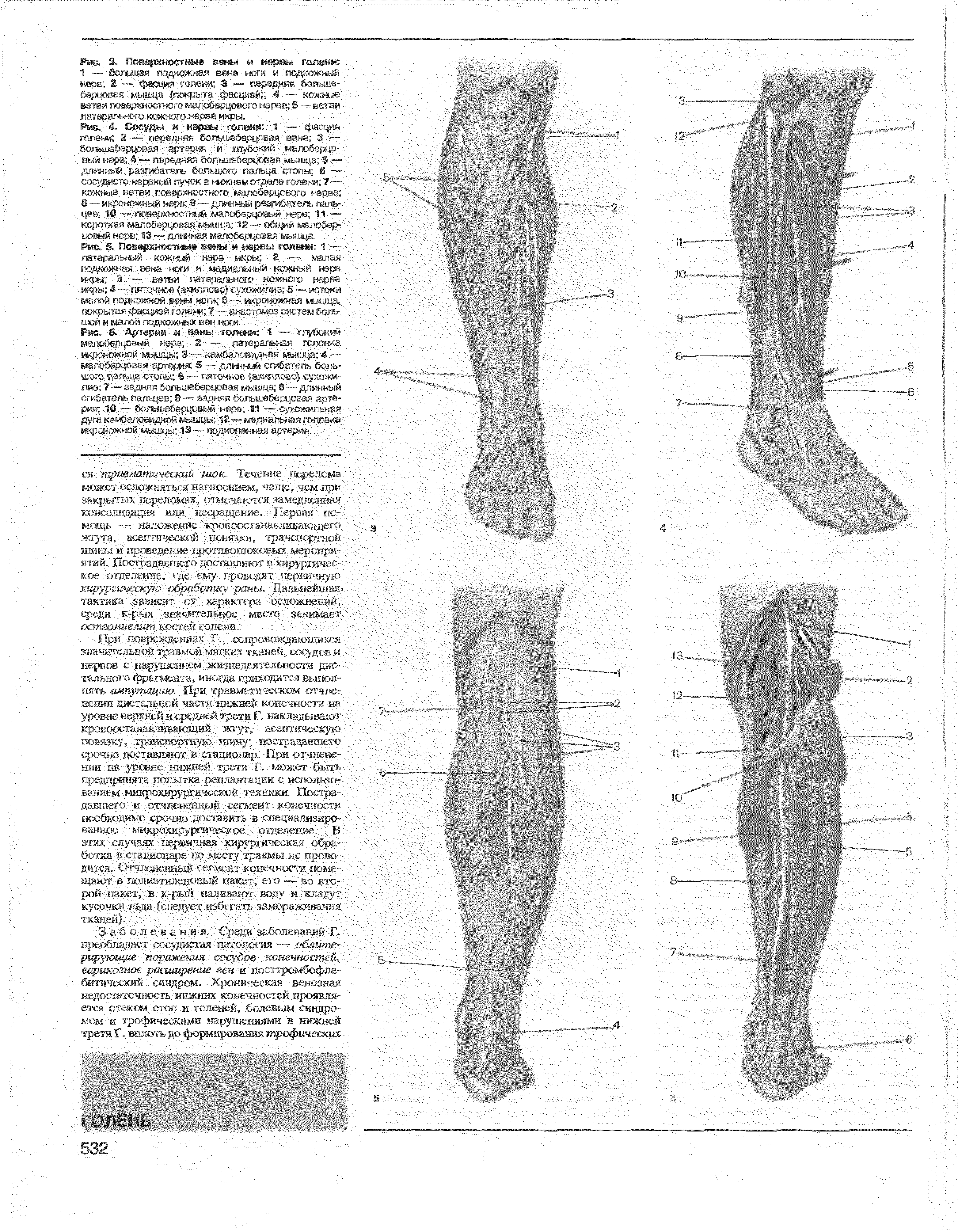 Рис. 4. -Сосуды и нврвы голени 1 — ф /ция голени 2 — пещдгтс большеберцовая вена, 3 — баьтс ТЧ-- " а, (. л, и л ил С...